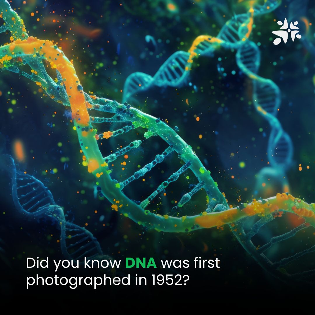 Global - Did you know? The first photograph of DNA was captured in 1952 ...