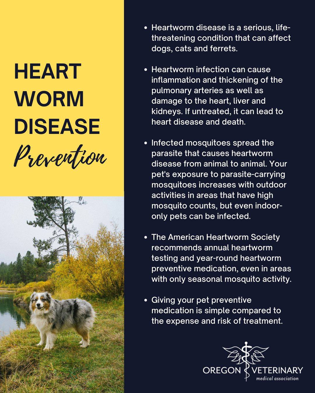 Curated visual reference: Gallery Detail: Oregon Veterinary Medical Association