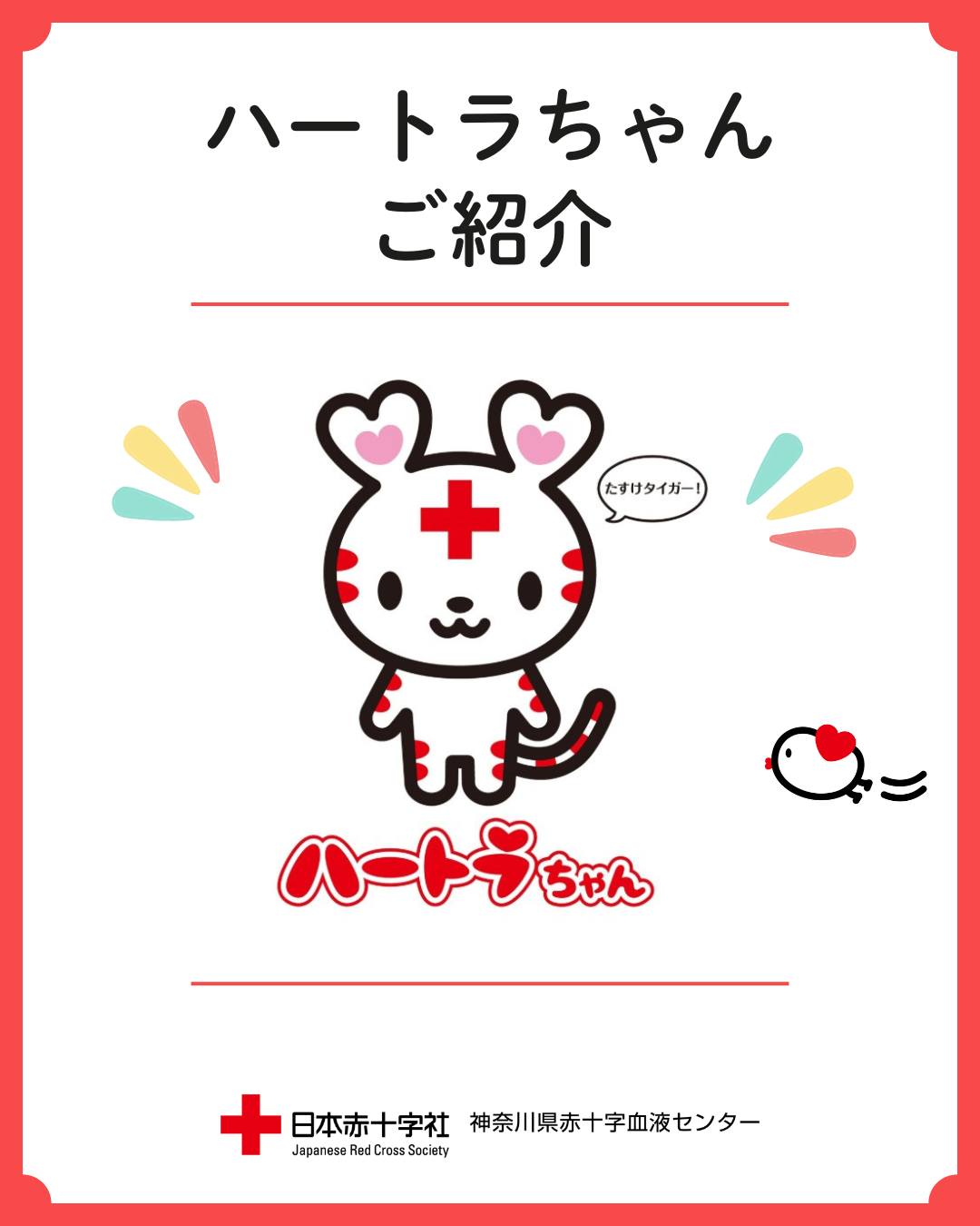 ハートラちゃん」のご紹介 🌟今日は私たちの大切な仲間、日本赤十字社