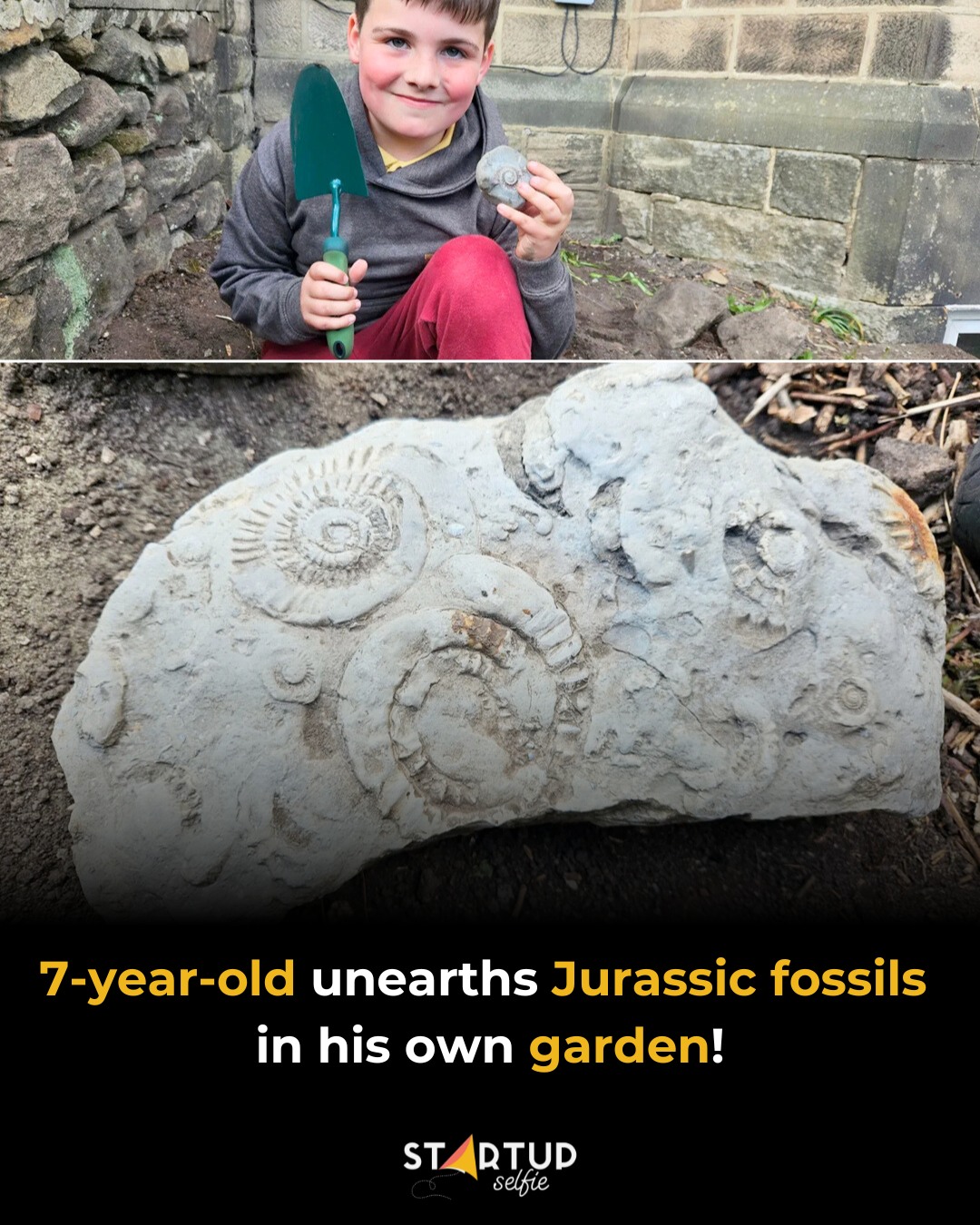 Startup - A seven-year-old boy in Derbyshire has stumbled upon a ...