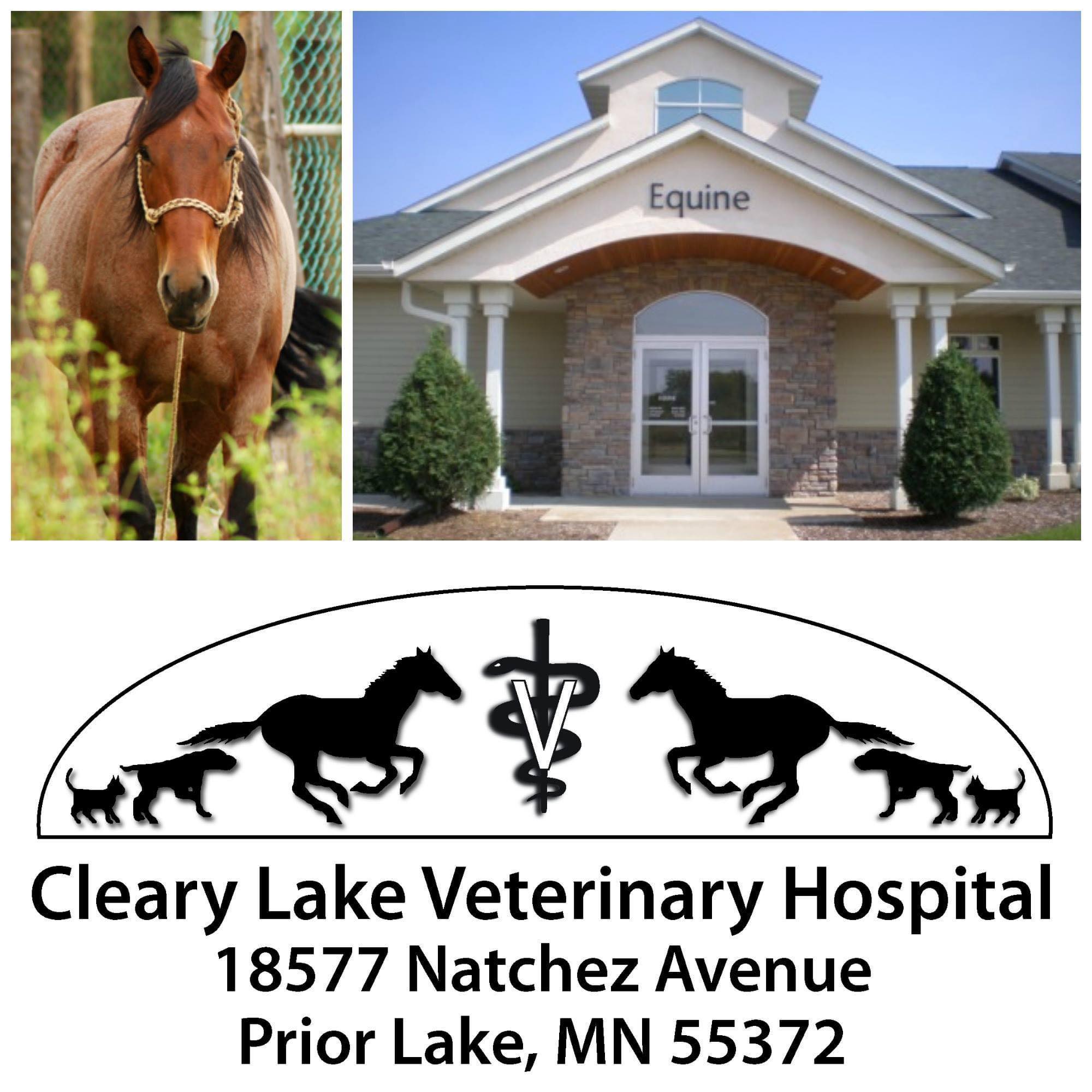 Cleary - Congratulations to our March 2026 Patient of the Month, “Roxie ...