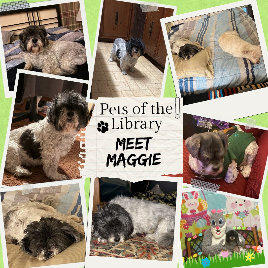 🐾 Meet Our Pets of the Library!... - Lamar University Library | Facebook