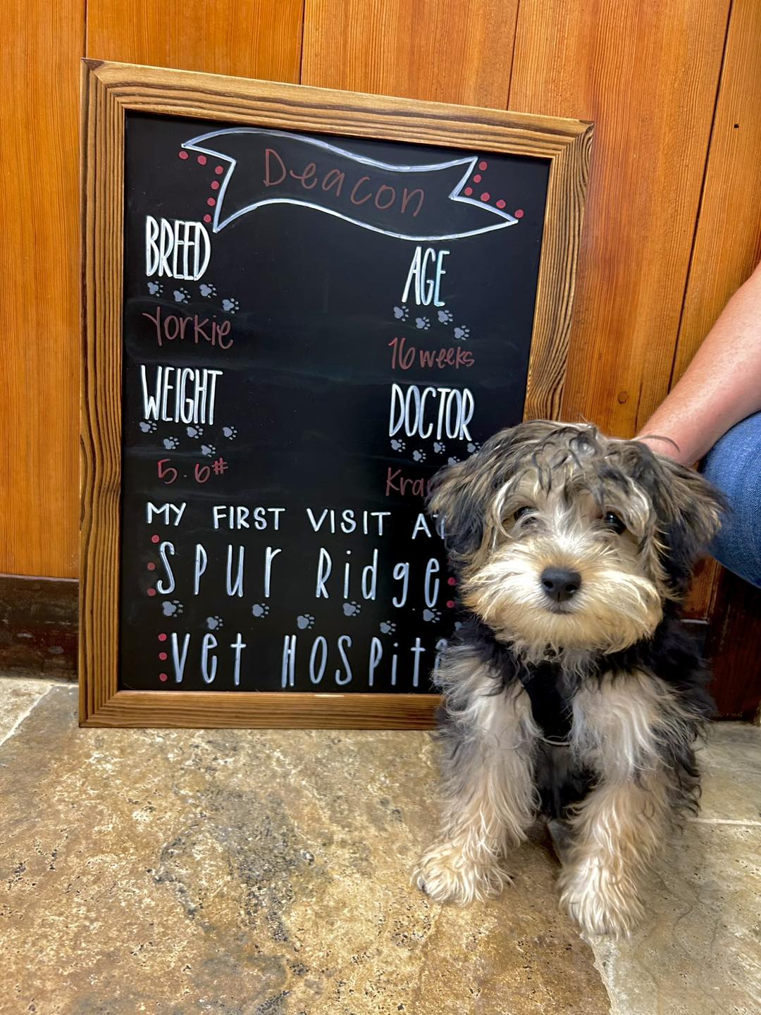 Happy First Visit Friday!... - Spur Ridge Vet Hospital | Facebook