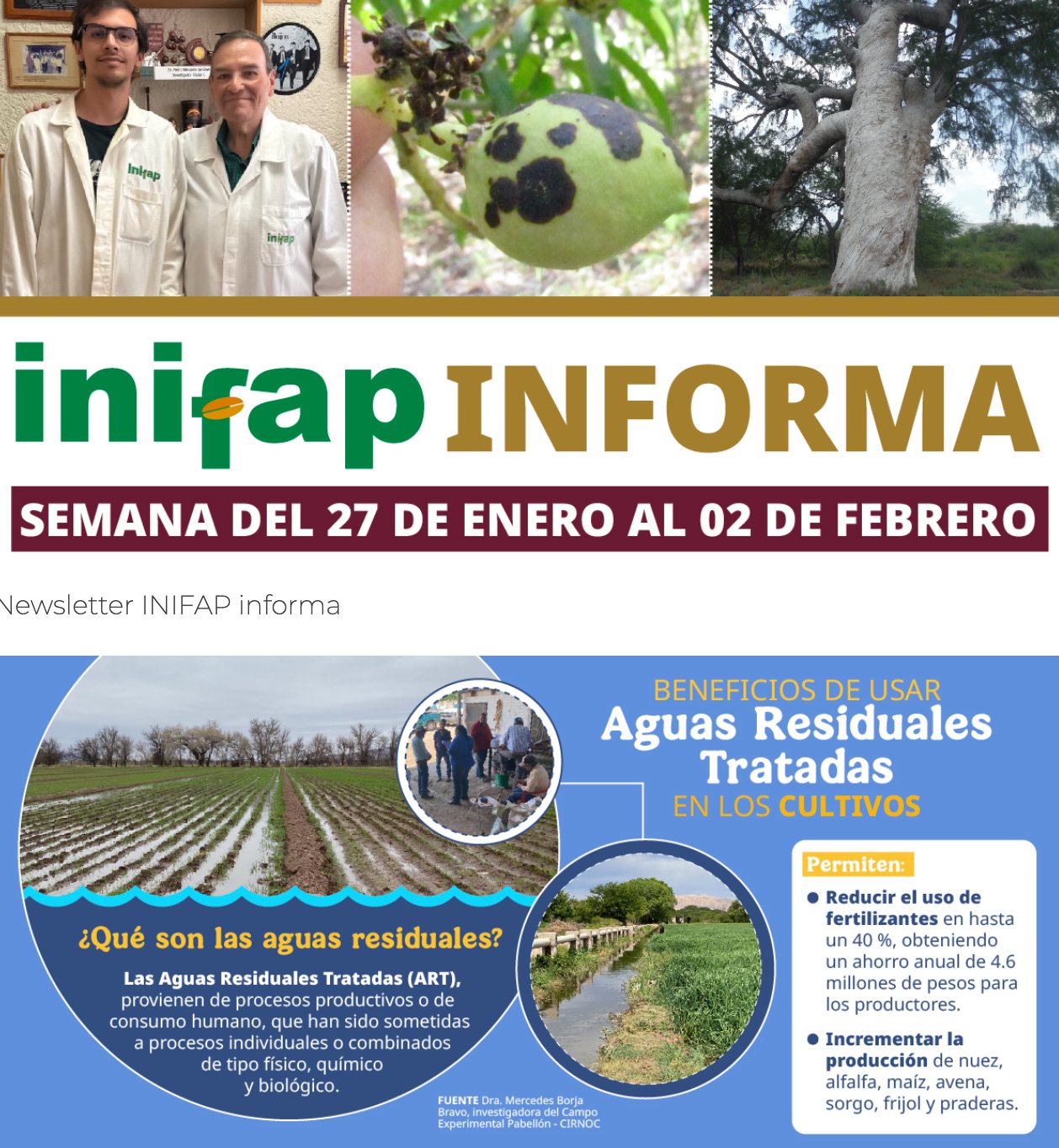 INIFAP - 🗞En el newsletter del INIFAP, te presentamos una... | Facebook