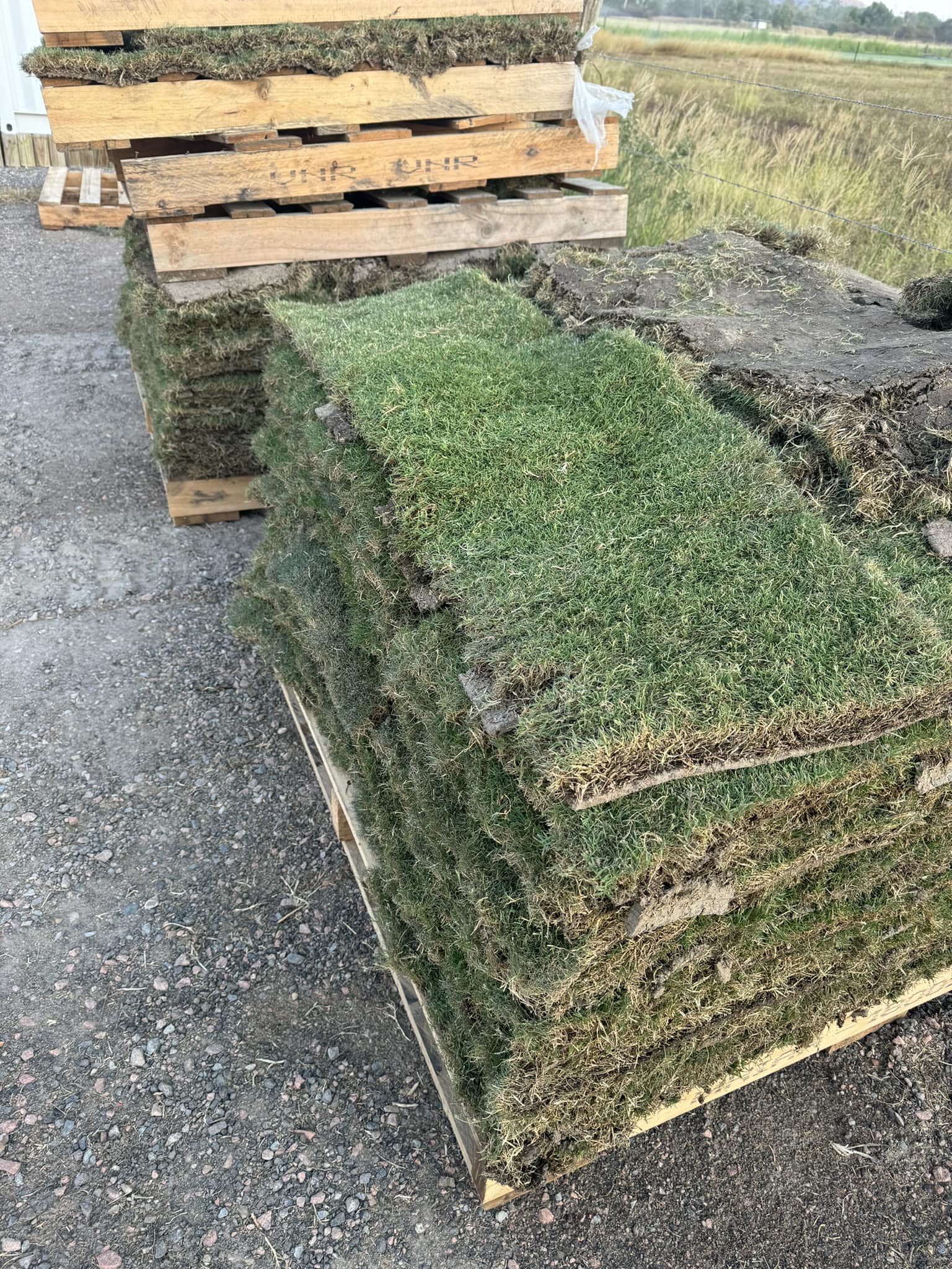 Top Notch Turf | Townsville QLD