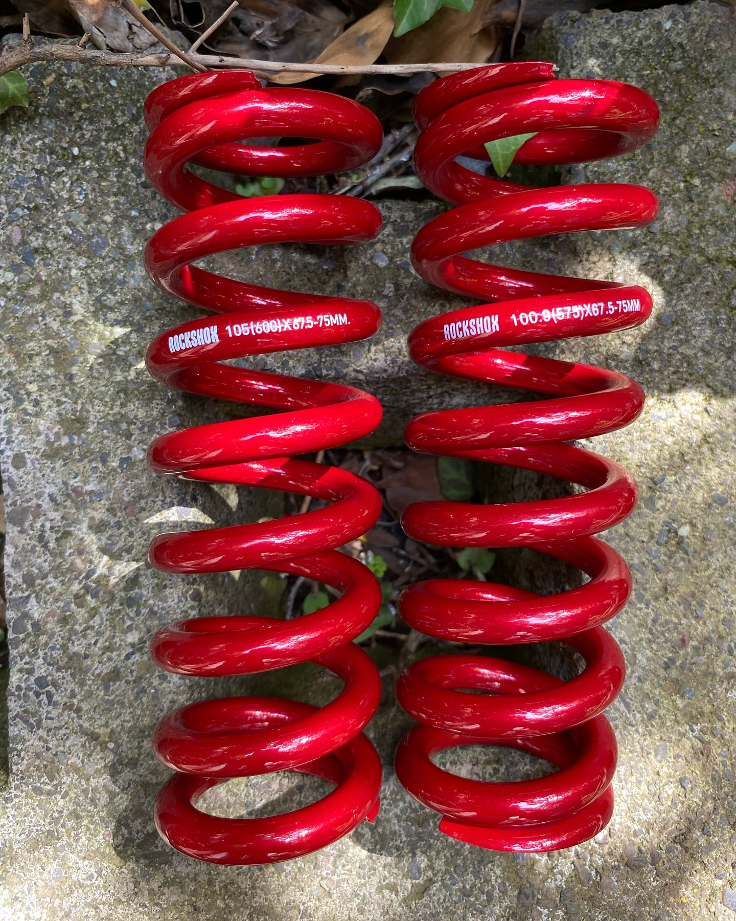Voom