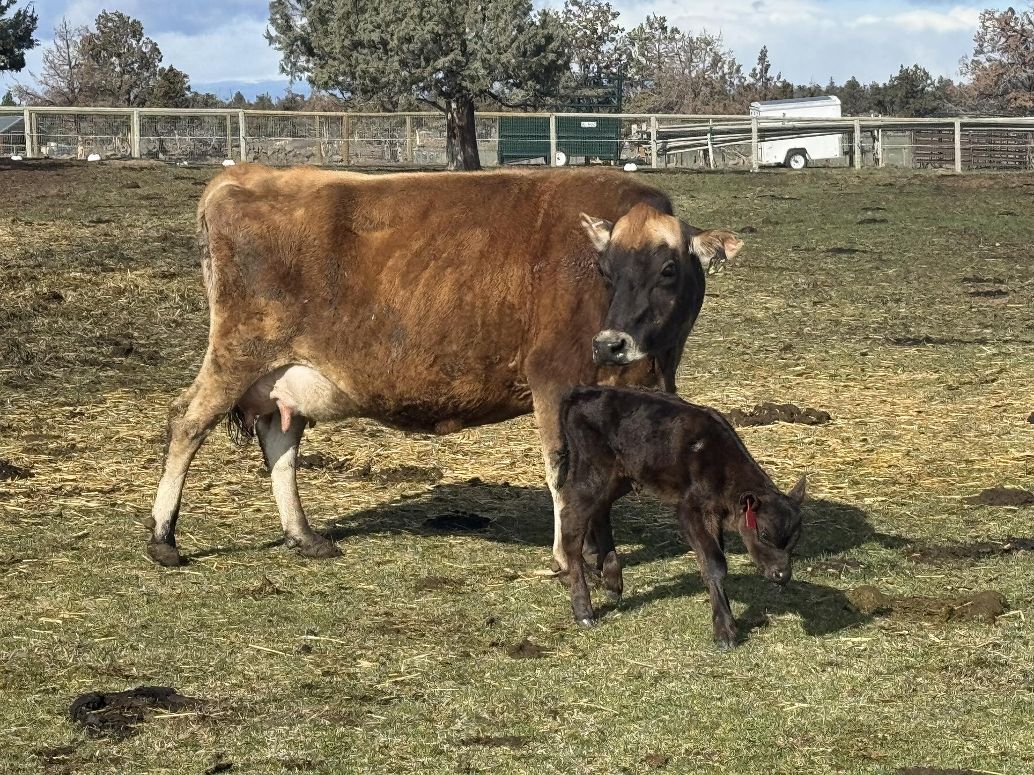 Flying Flower Ranch, LLC | Bend OR