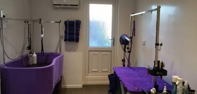 Gallery Detail: K9 Corner Dog Grooming