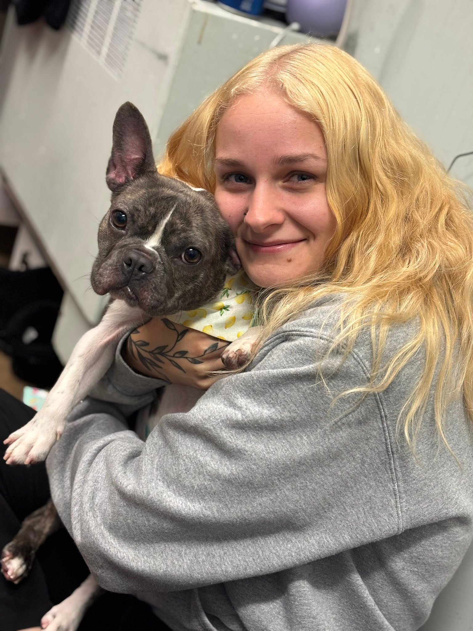 Homeward - Meet Claire, a high-energy Frenchie with a big personality ...