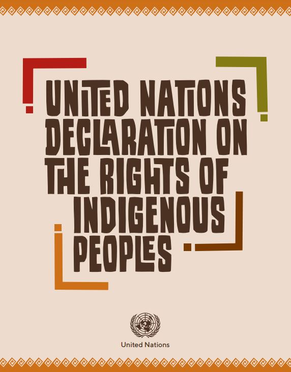 DJAARA - 🌏 18 Years of the UN Declaration on Indigenous Rights 🌏 Today ...