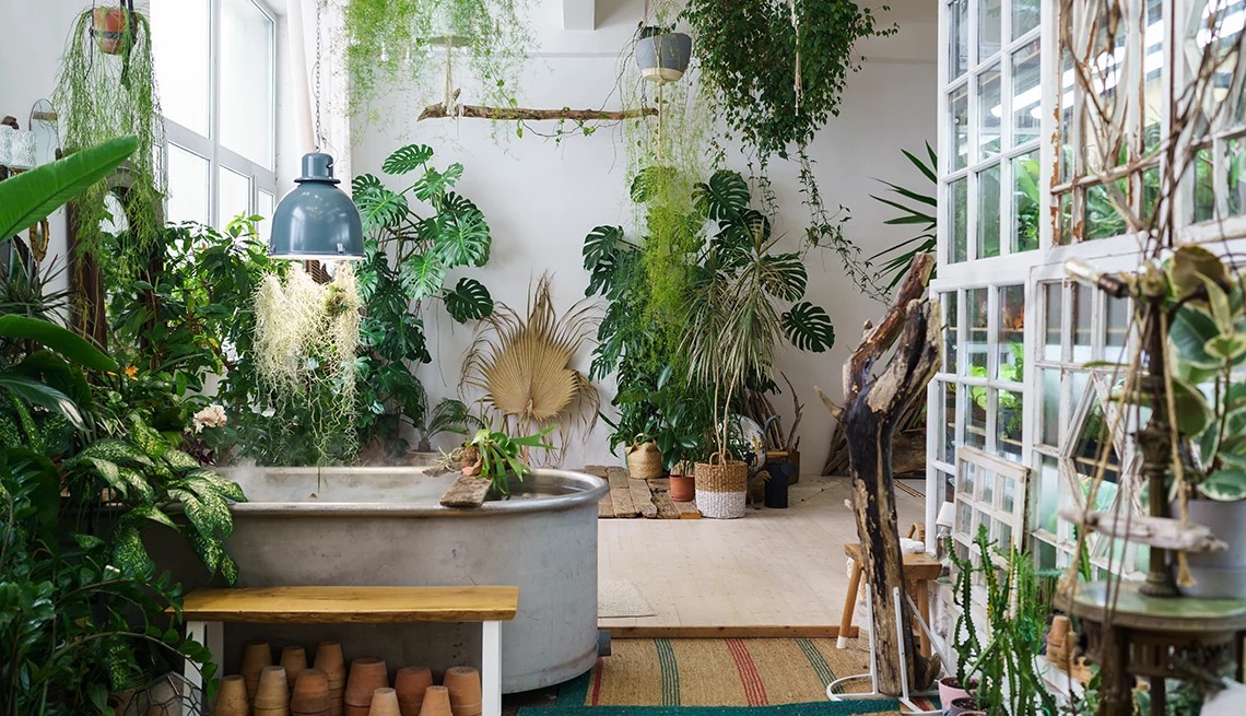 Casas/TecnoUrbe - ¡Dale vida a tu hogar con plantas! Las plantas son ...