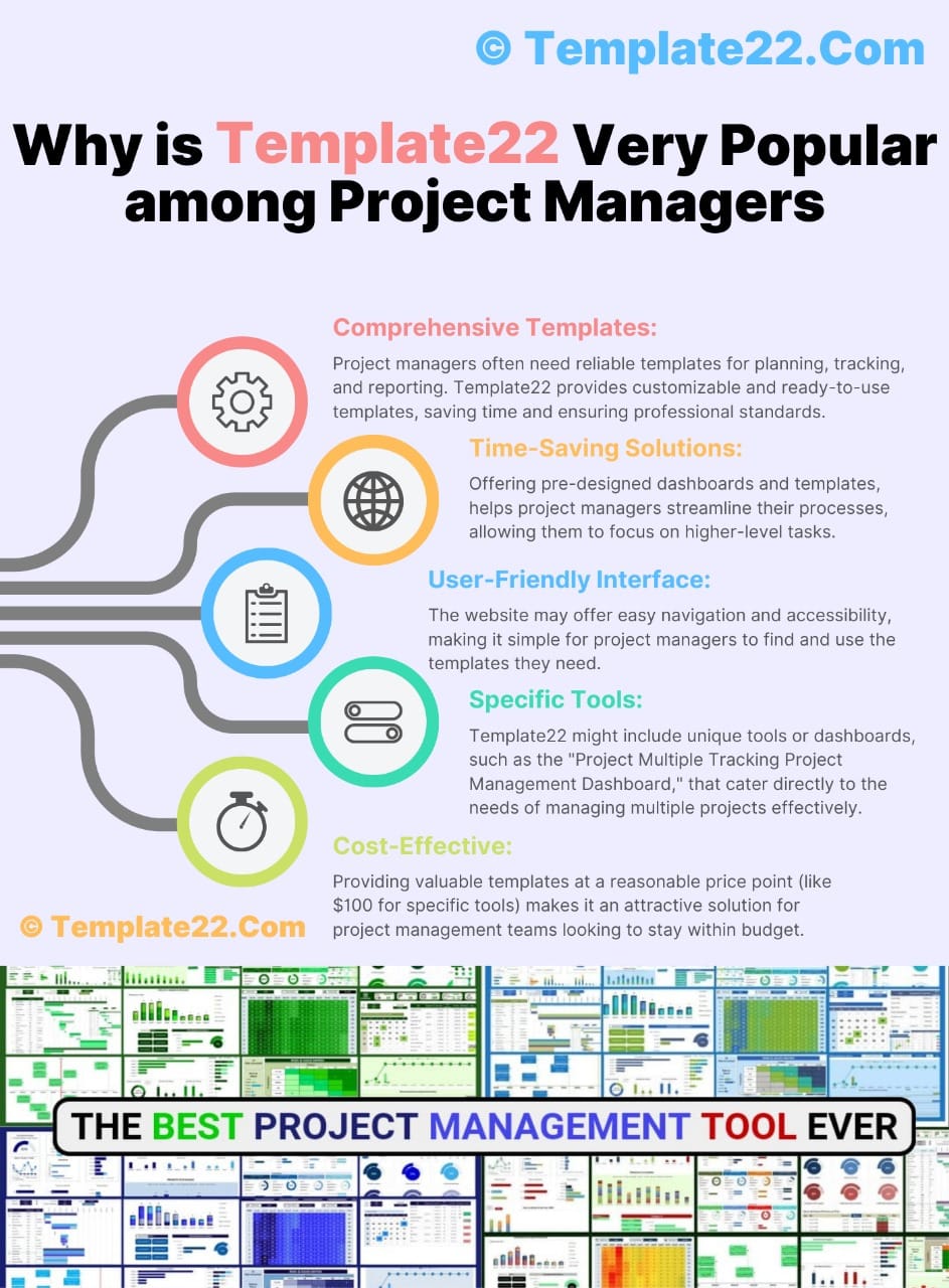 Successful - Project Portfolio Management Dashboard Template in Excel ...