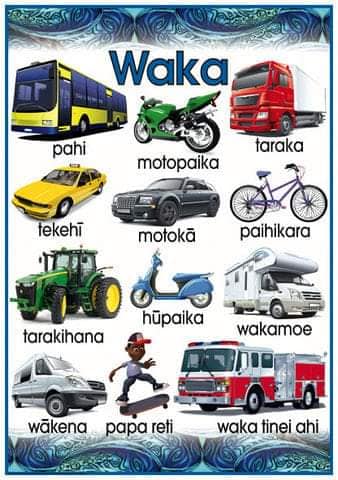 Ngā Reo E Rua - Bilingual Early Childhood Education | Rangiuru