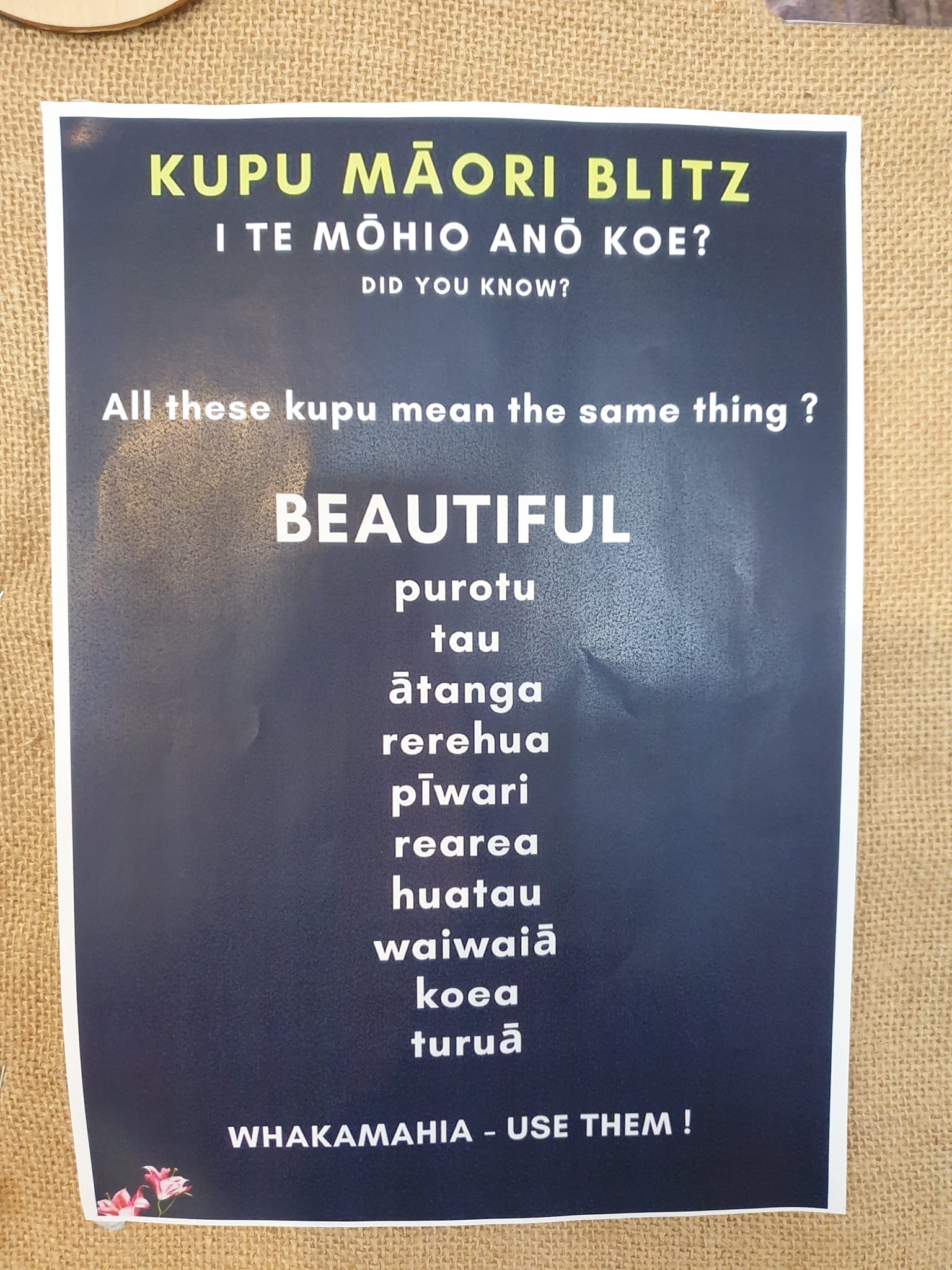 Ngā Reo E Rua - Bilingual Early Childhood Education | Rangiuru
