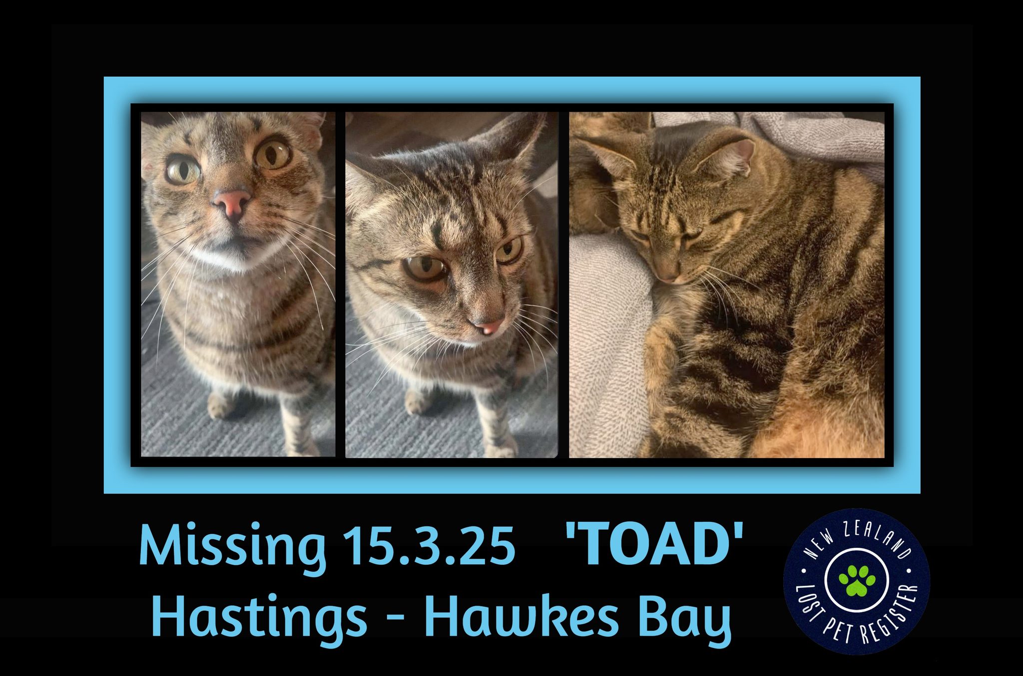 **REUNITED**... - New Zealand Lost Pet Register - NZLPR | Facebook