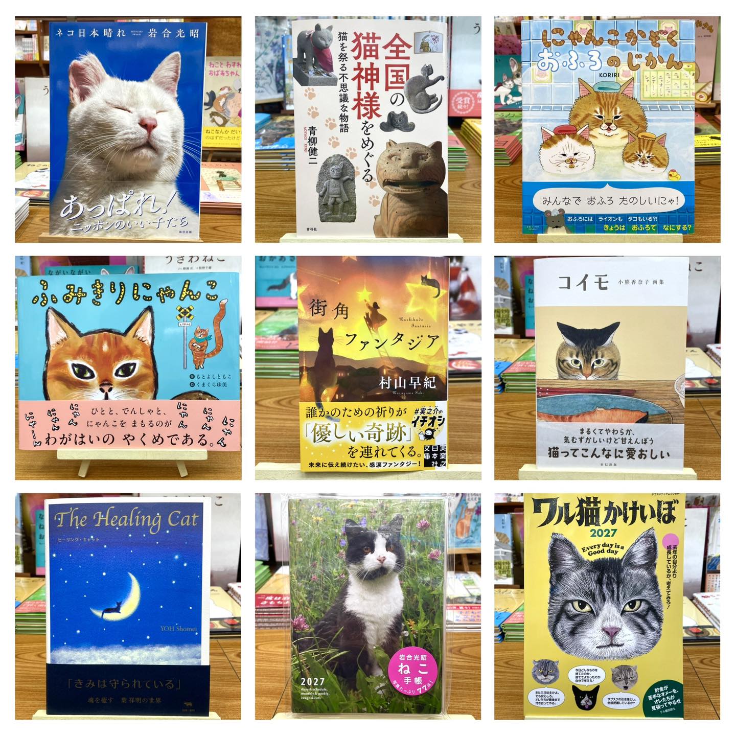 ふてぶてしくカッコいい、盗賊団のおやぶん猫！ そんな彼が、馴染みの