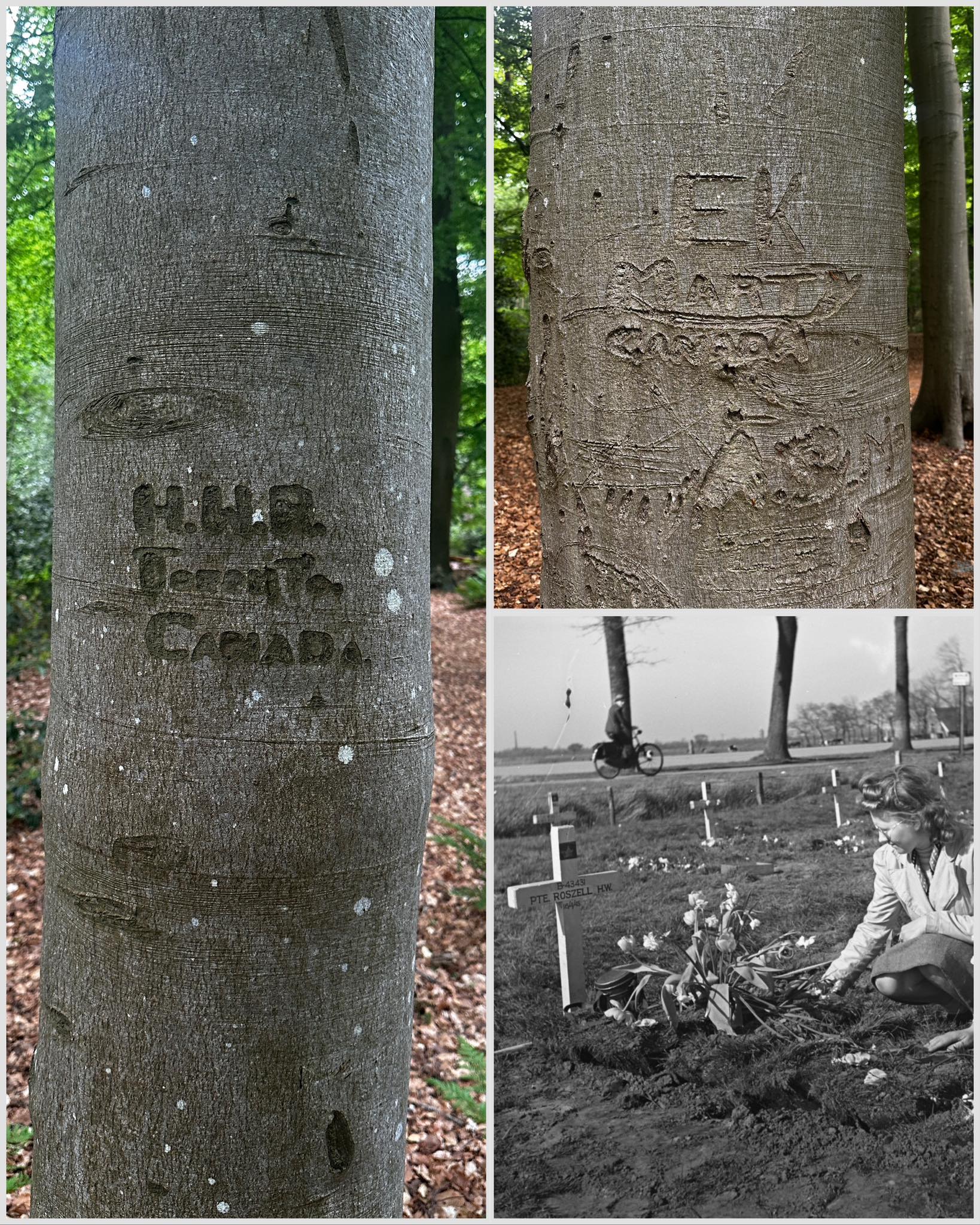 Joël - Today, I walked through the quiet woods of Landgoed De Duinen ...