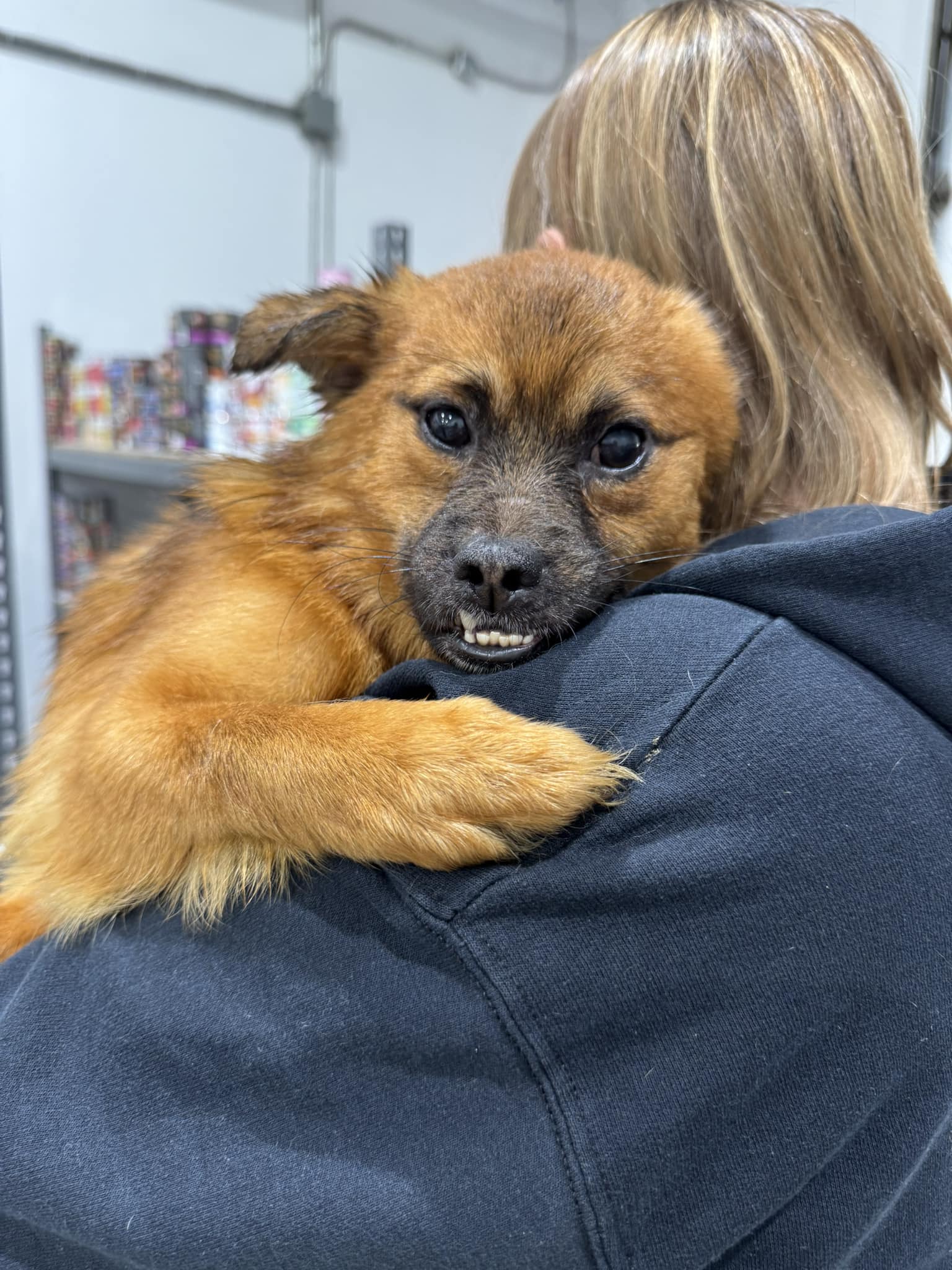 Fostering Hope... - Fostering Hope Animal Rescue Foundation