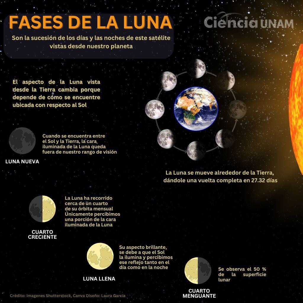 Un - Fases de la Luna 🌒🌓🌔🌕🌖🌗🌘🌑 📸 Ciencia UNAM | Facebook