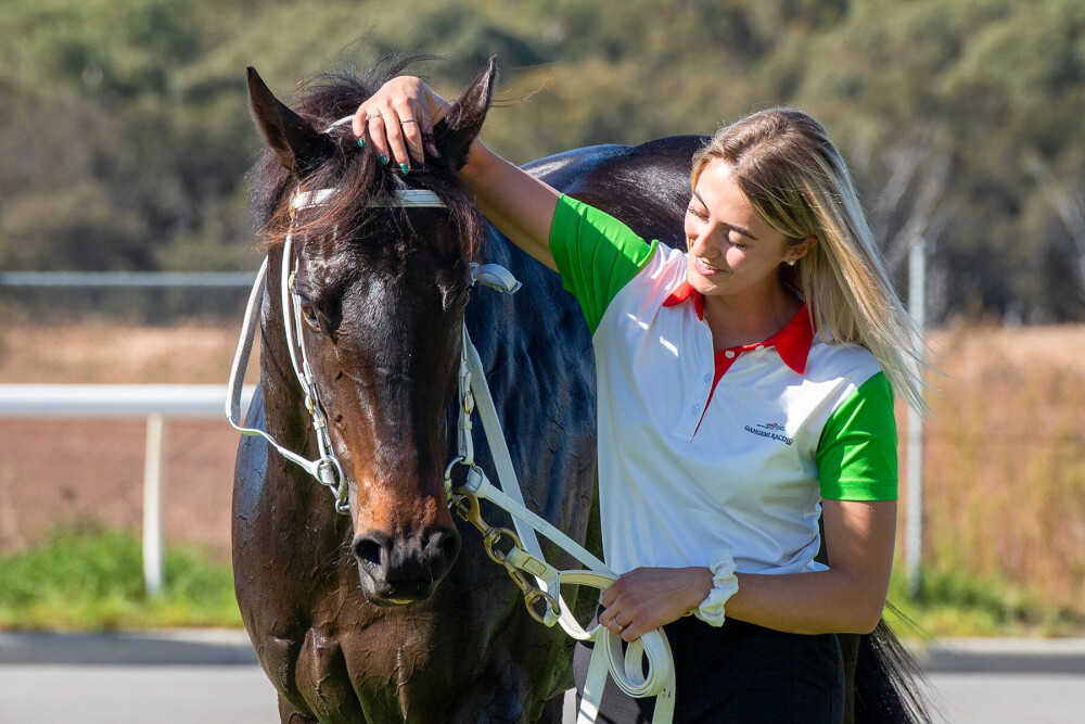 Perth Racing - Need a ride to TABtouch Perth Cup Day on Saturday 4 ...
