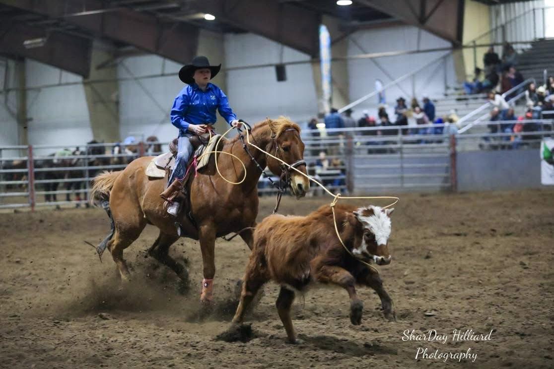 Brash Rodeo | Columbia Falls MT