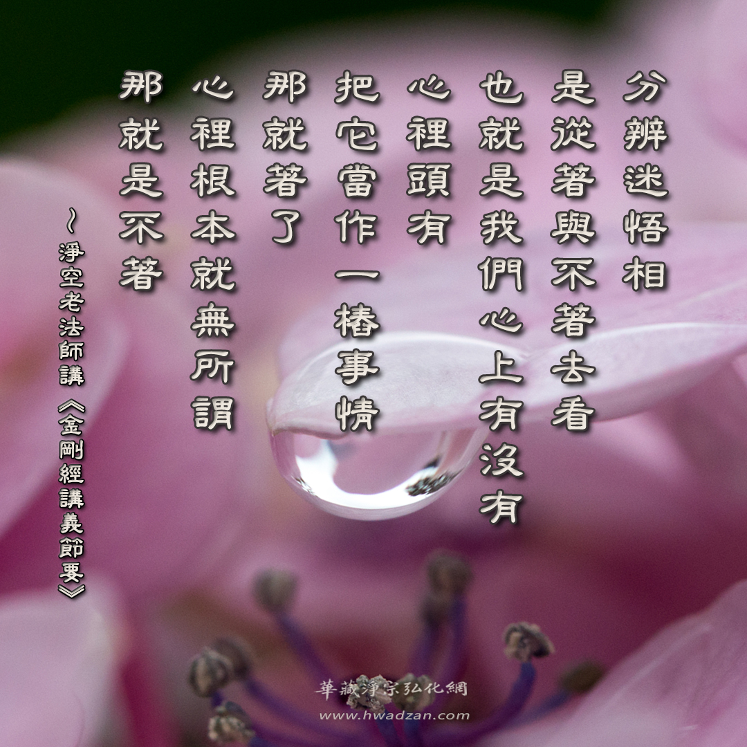 華藏淨宗學會 - 淨空老法師主講： 發心，發菩提心，實在講菩提心是什麼？就是在日常生活當中起心動念，這叫發心。菩提心跟非菩提心的差別，起心動念 ...