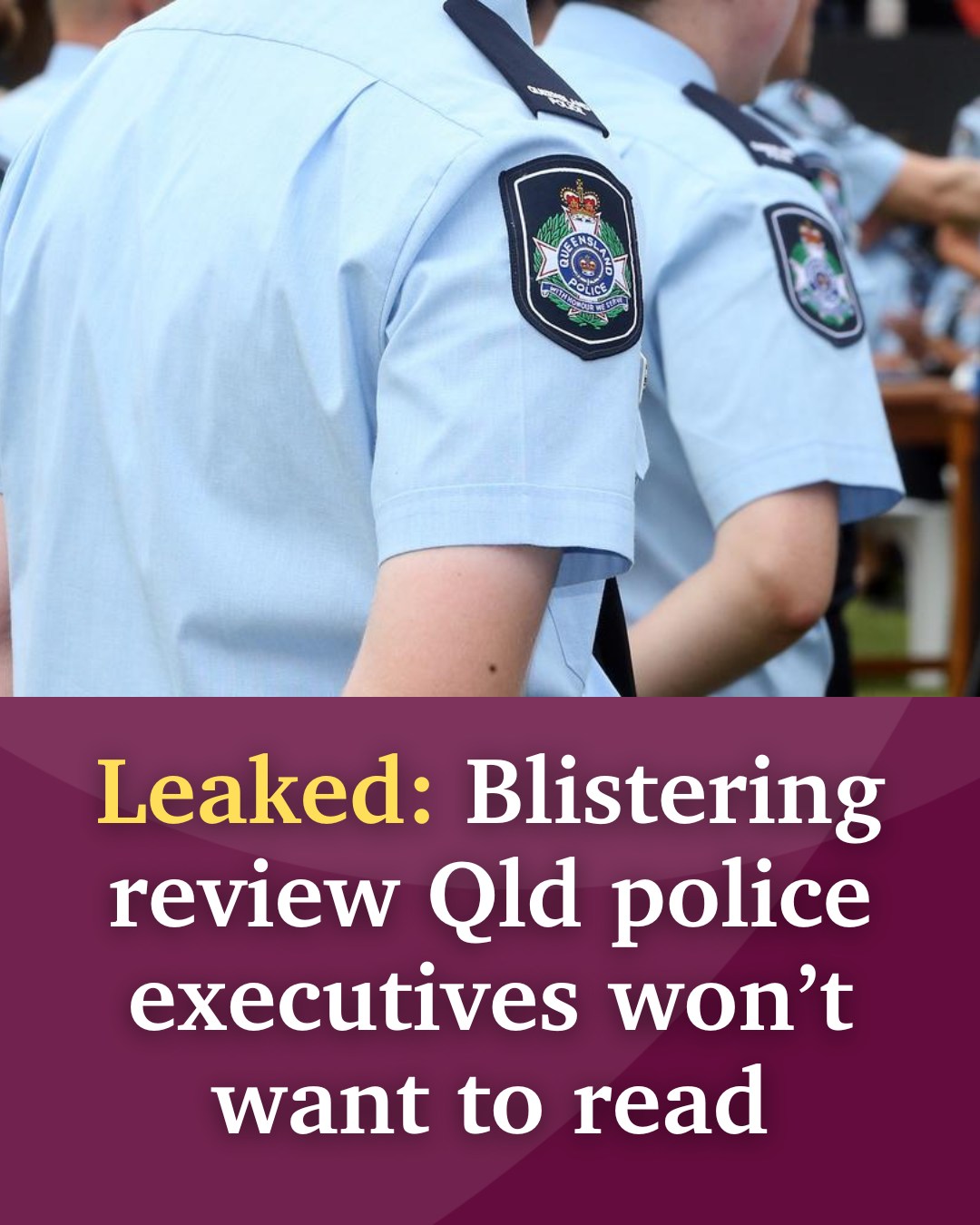 Daily - High-ranking officers have criticised the Queensland Police ...