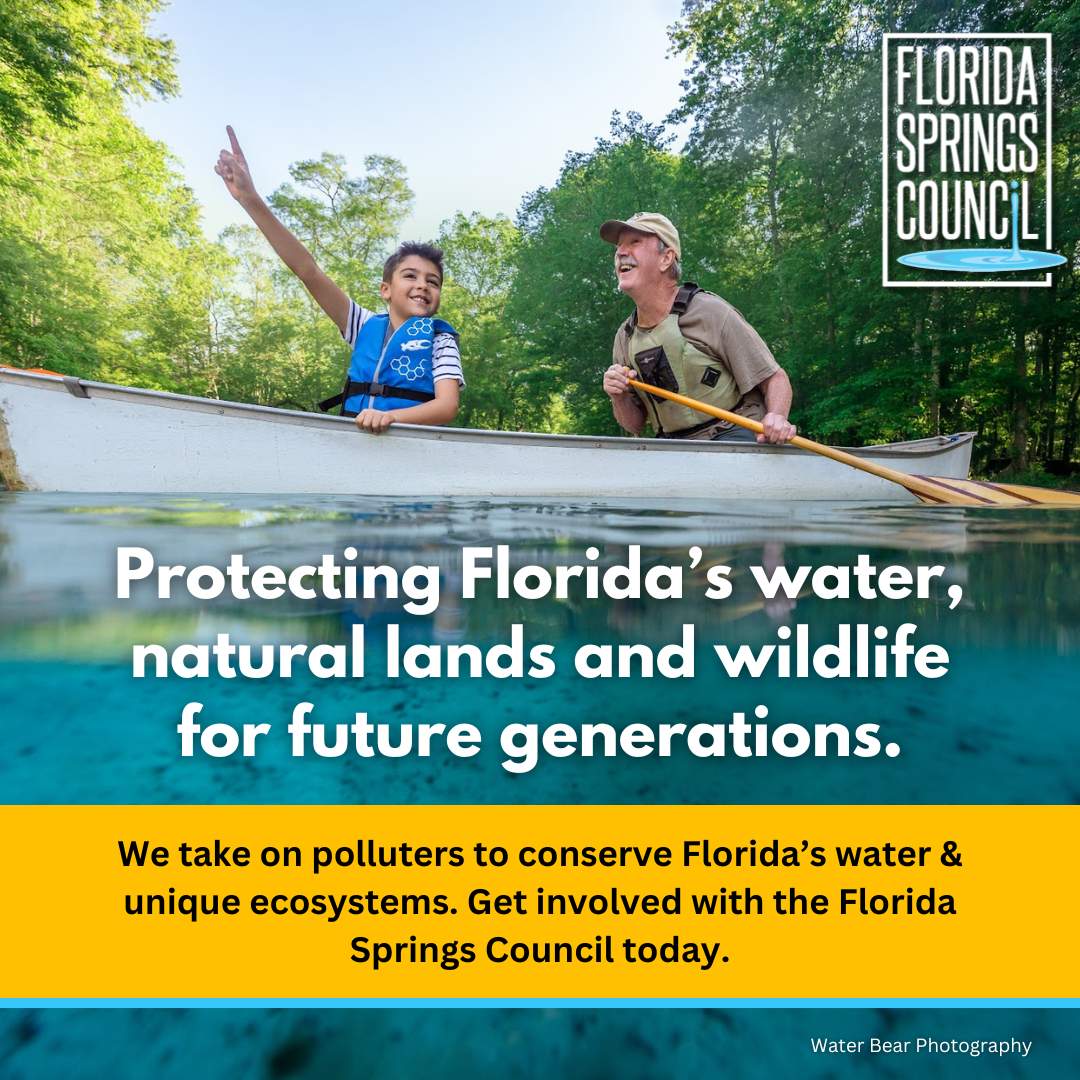 It’s not just about springs.... - Florida Springs Council | Facebook