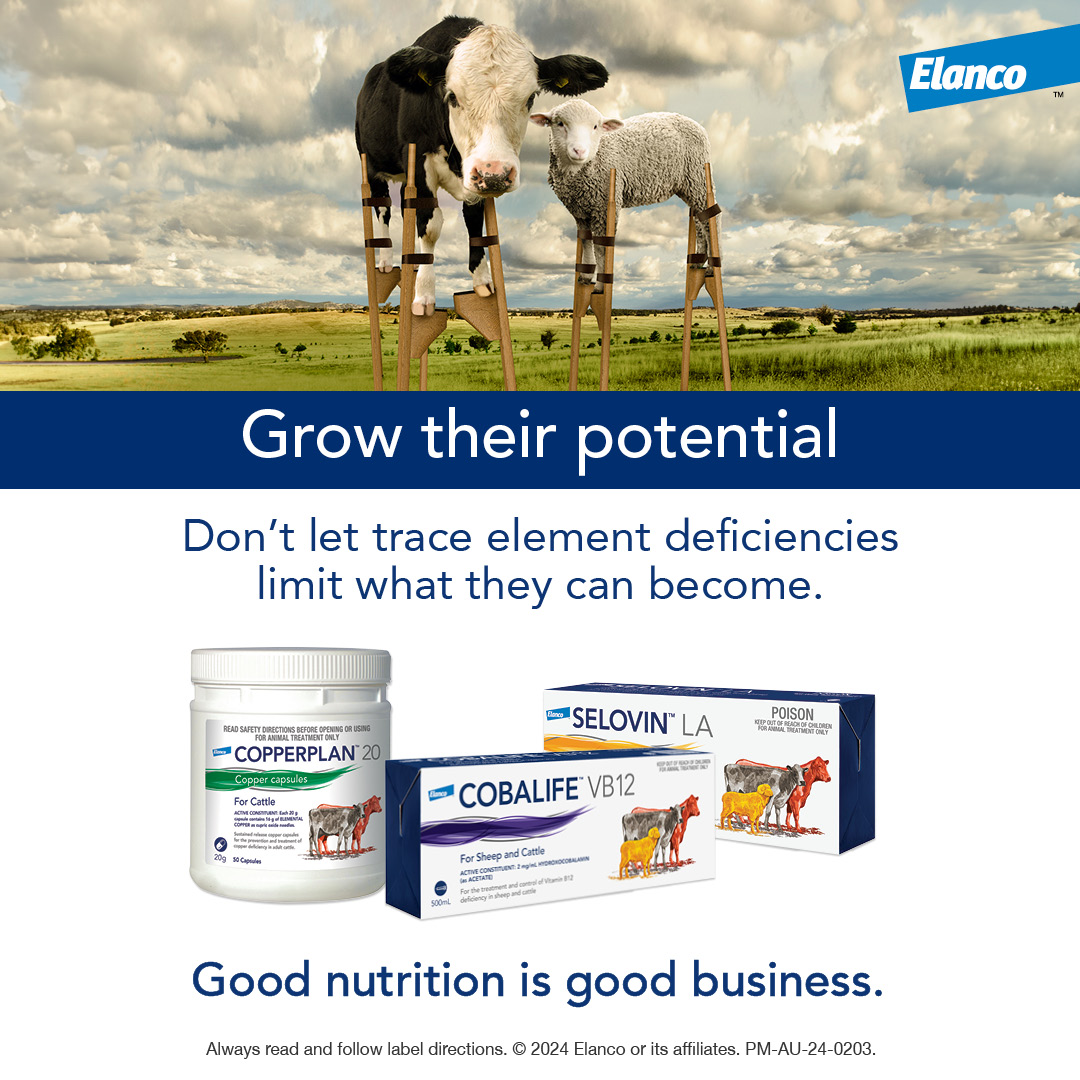 long acting vitamin b12 injection for sheep Selovin LA is a long-acting selenium supplementation cattle and sheep. Selenium is a trace element that is vital for normal metabolism. #elanco Avoid exposure to light. Vitamin Deficiency Hair Loss: ppd skin test Size:1000 mcg/ml - 30 ml x 1