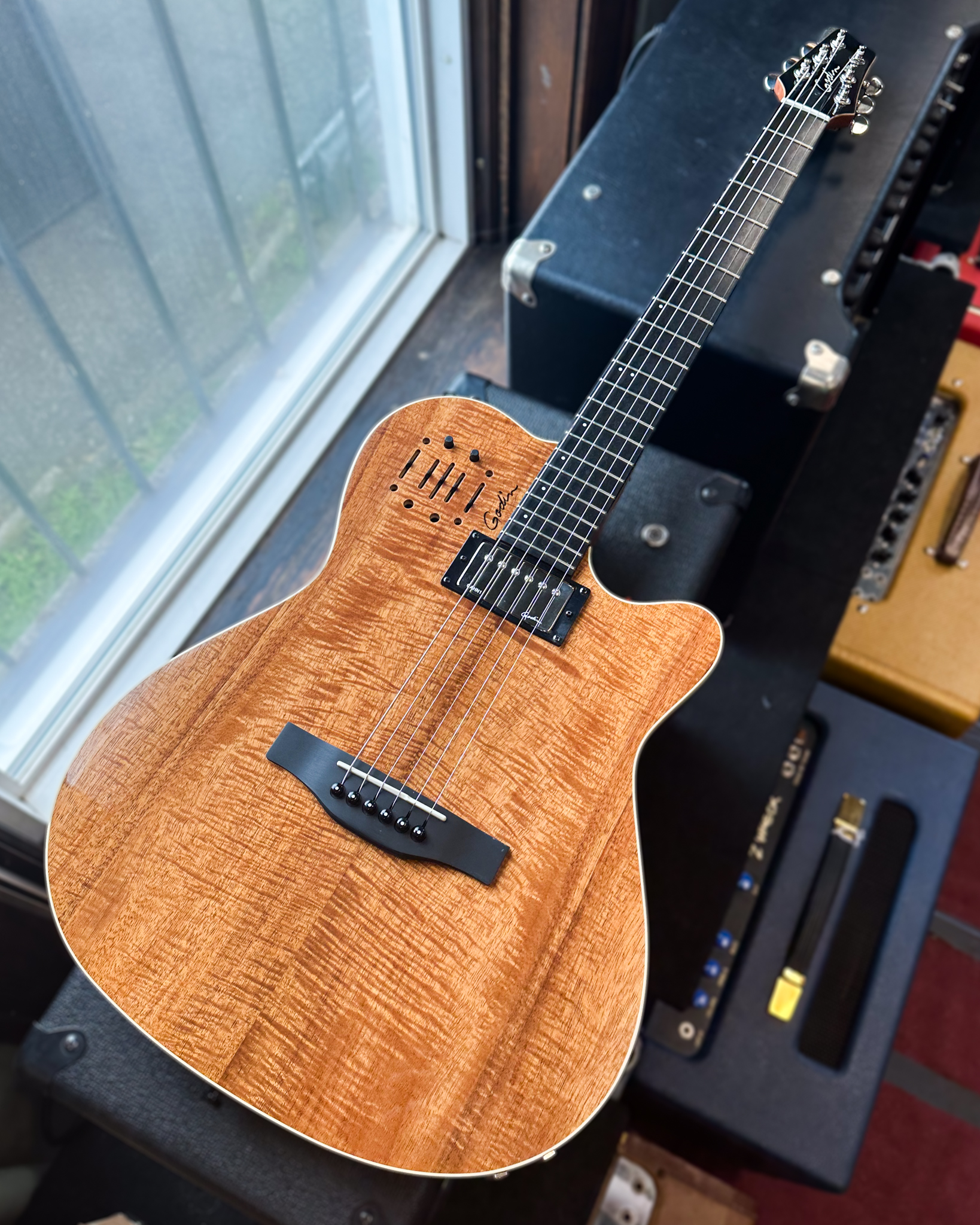 Built for the stage, the Godin A6 Ultra Extreme delivers full 