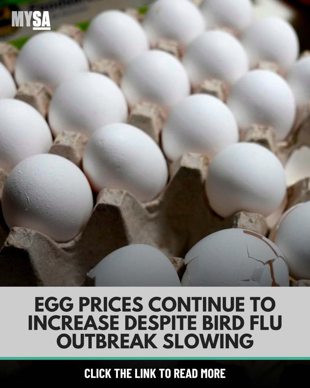 MySA - 🥚 JUST IN: https://trib.al/zsCYbHi Egg prices have... | Facebook