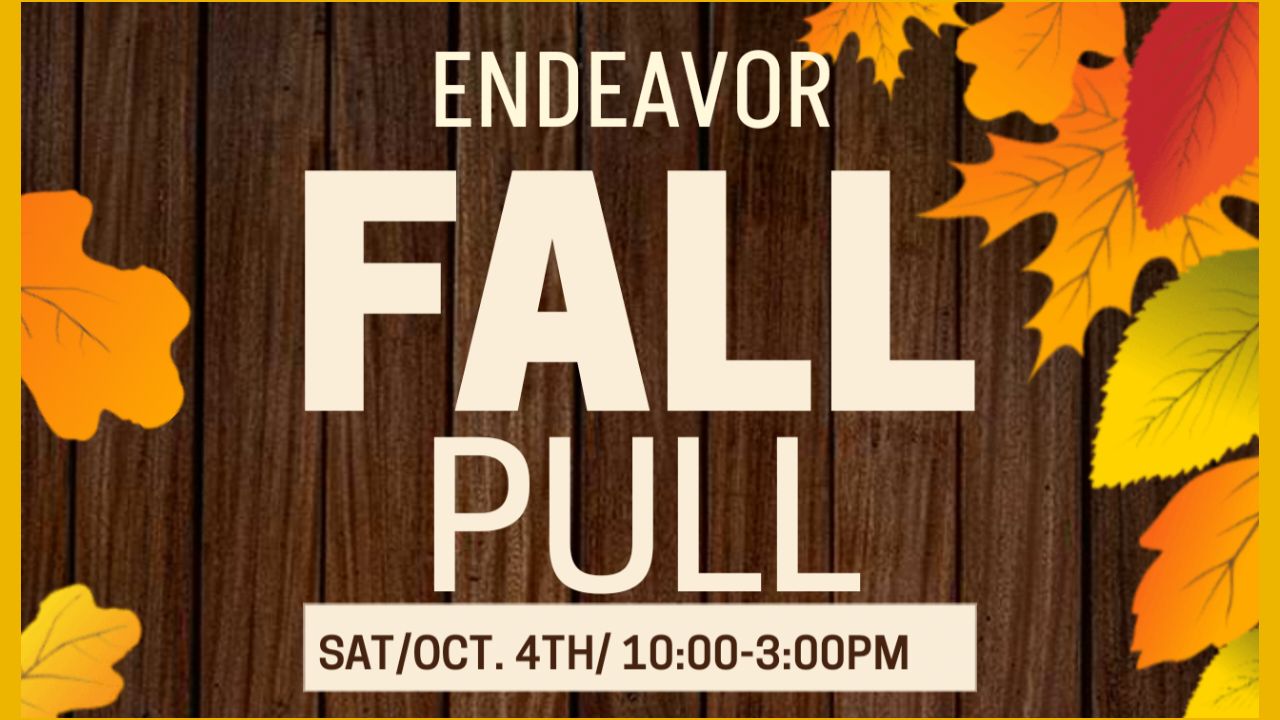 Endeavor EBC Fall Pull