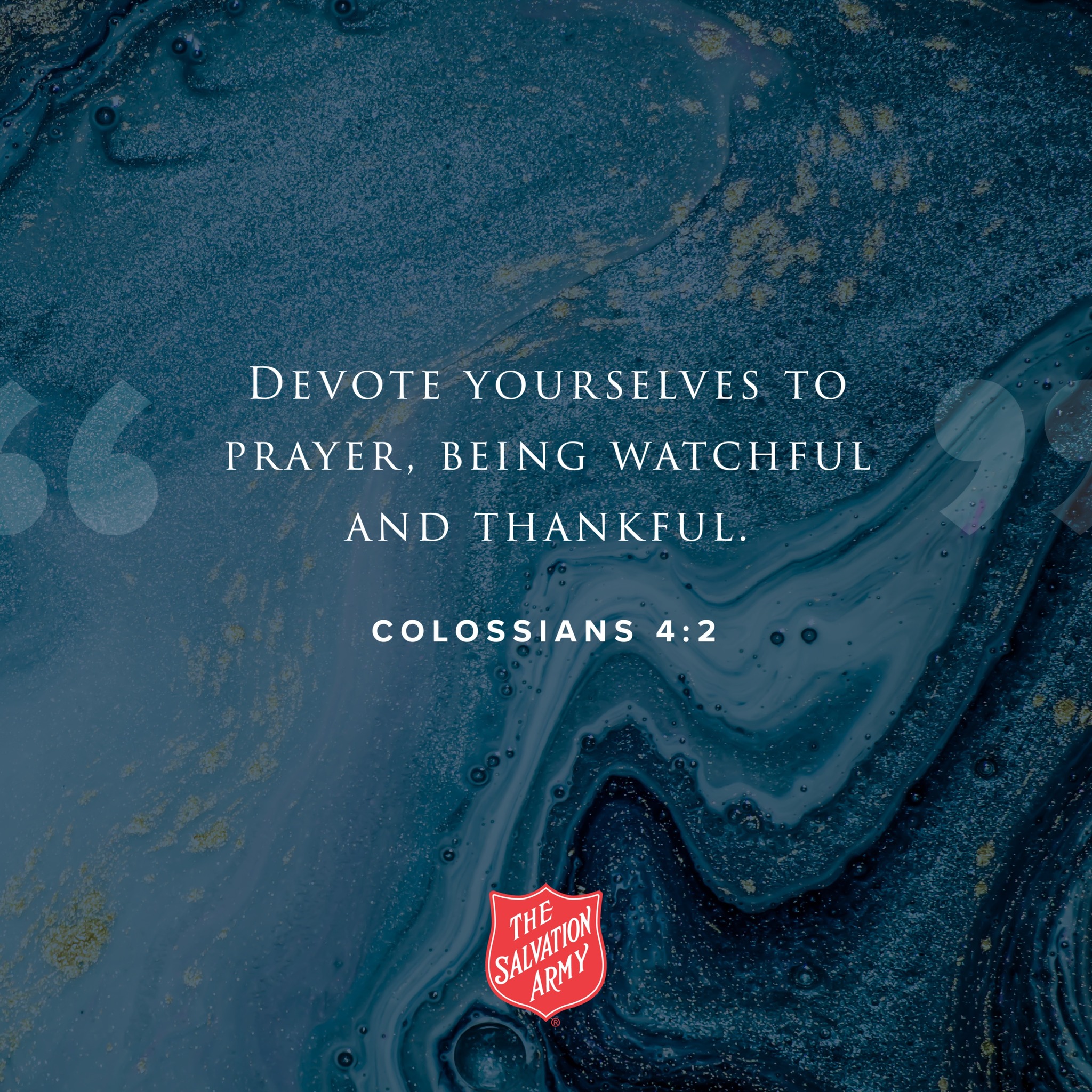 The Salvation Army of Greater Winston-Salem, NC | Winston-Salem NC
