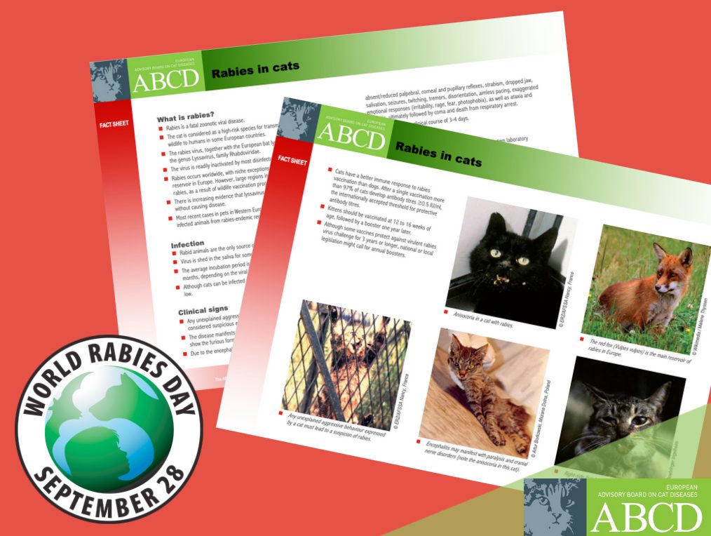 ABCD - 🙀 Rabies in cats is difficult to confirm... | Facebook