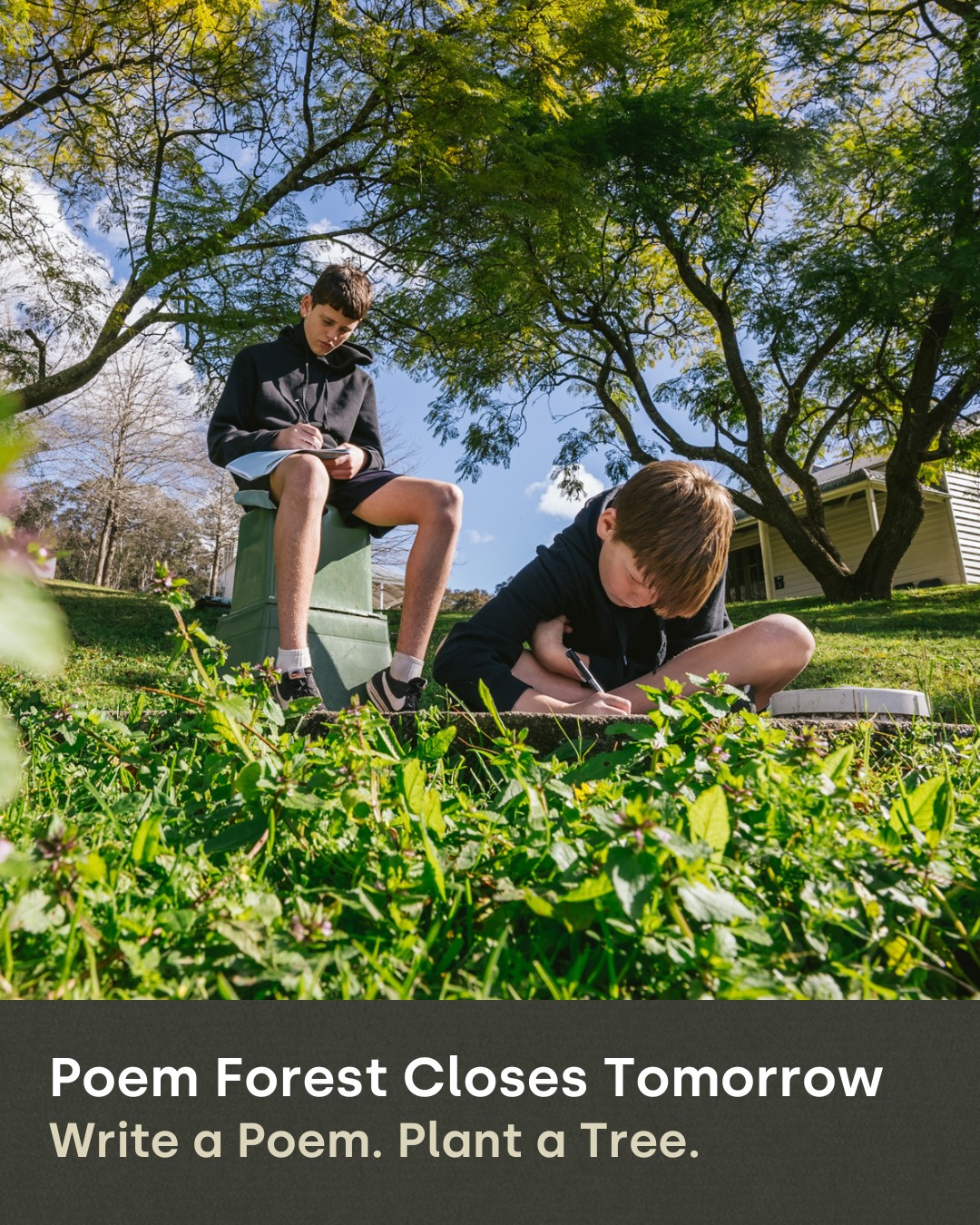 Red Room Poetry - 🌿 Write a poem, plant a tree! Poem... | Facebook