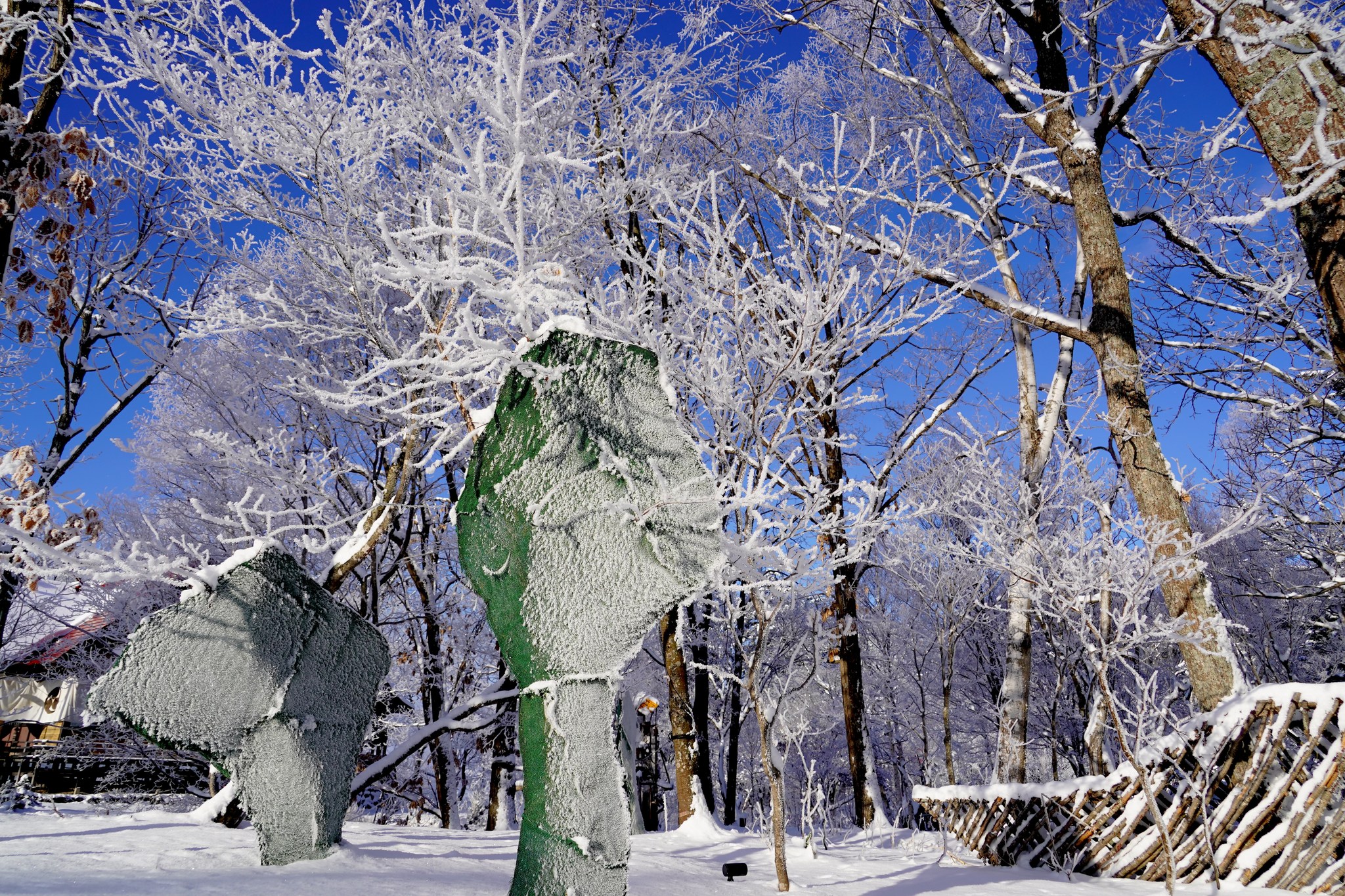 極寒藝術祭と極寒藝術伝染装置：Extreme Cold Art Festival &Inn | Kawakami-gun Hokkaido