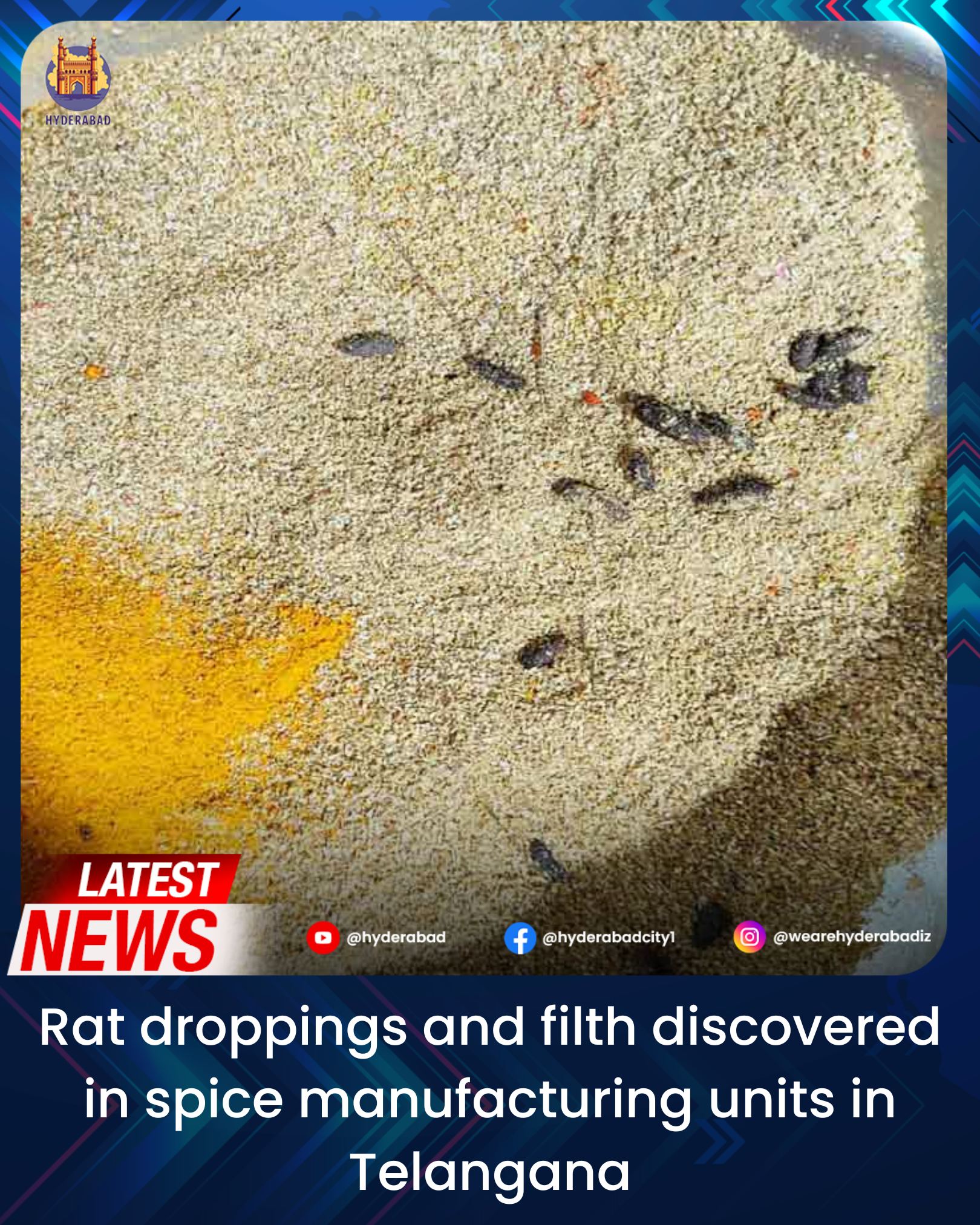 Hyderabad - Inspections reveal rodent infestations, unhygienic ...