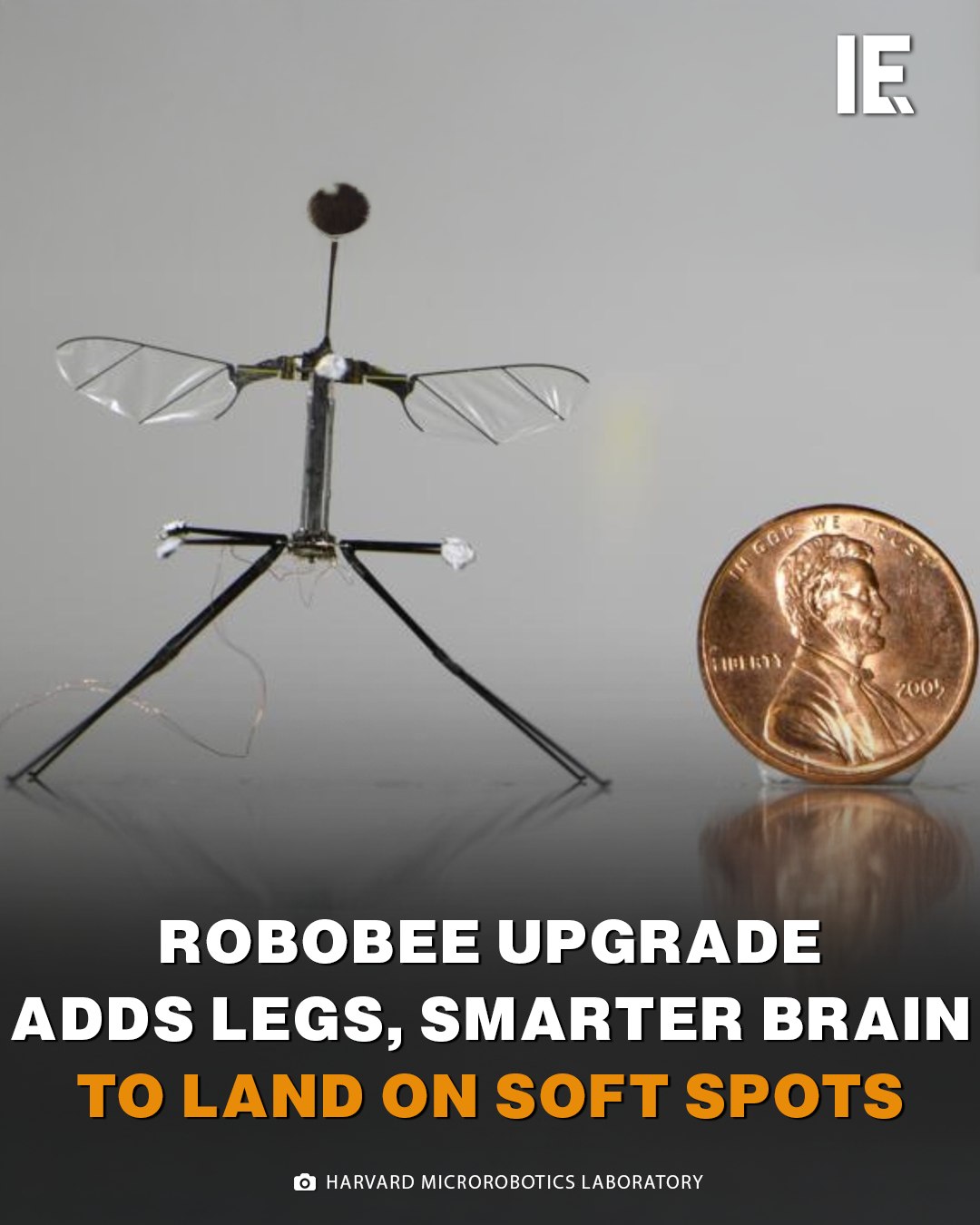 Interesting Engineering - Harvard’s RoboBee gets insect-inspired legs ...