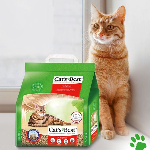 Lydia - Pet Care | Athens