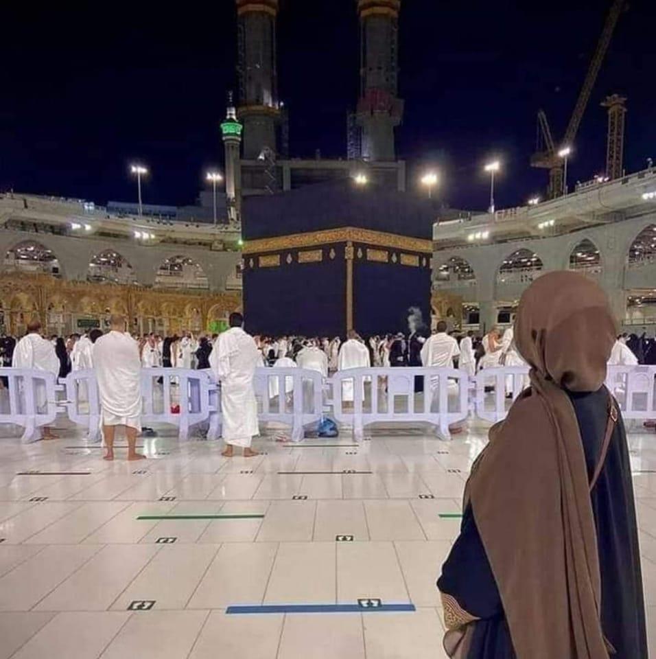 لا أمان لحيوان 🥹😱 #لا #تنسى #المتابعه #للصفحه #فضلا🌹 | كلمات مبعثره ...