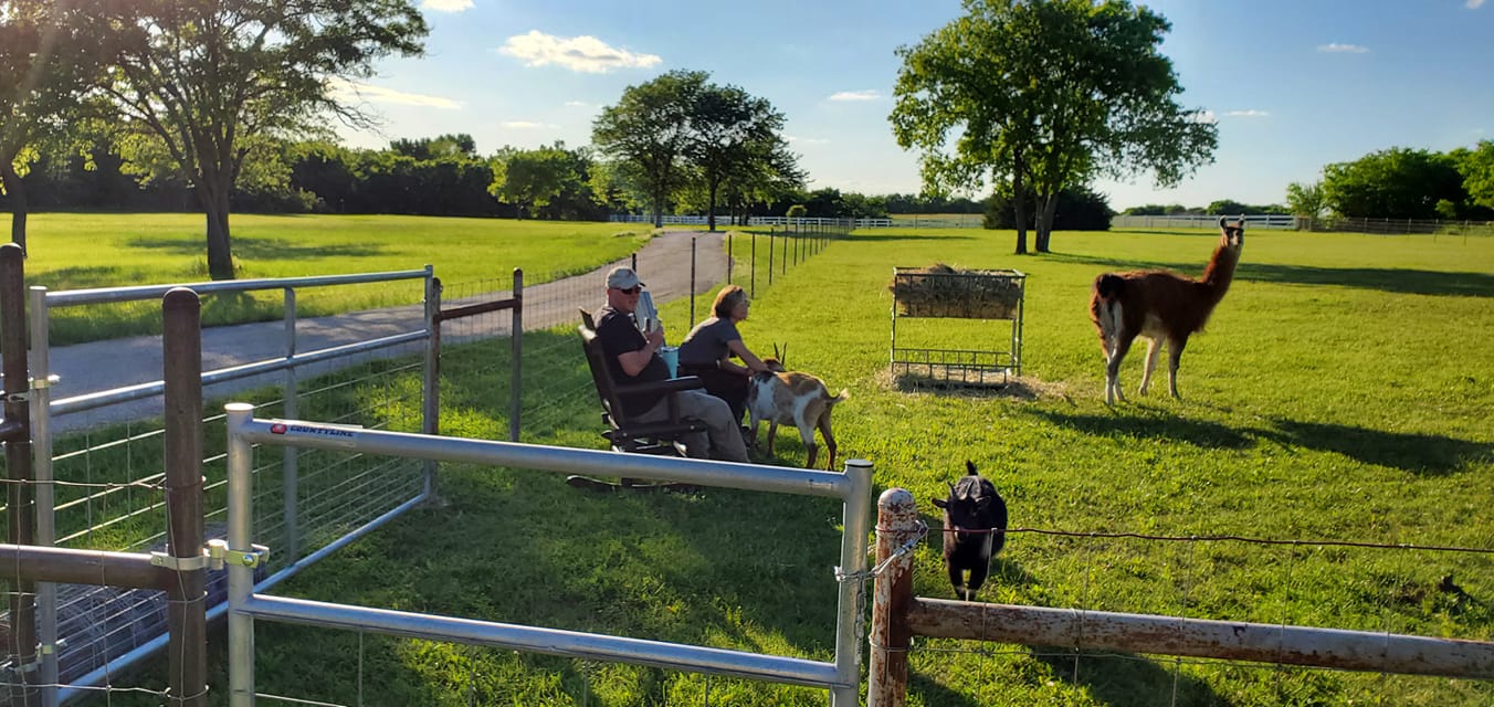 Top Dog Ranch - It's Happy Hour at the Ranch. Let's play a...
