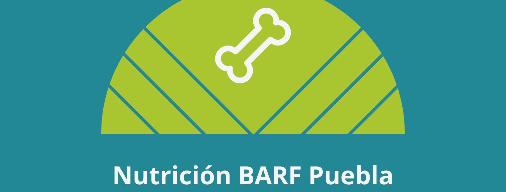 Nutrición BARF Puebla | Puebla
