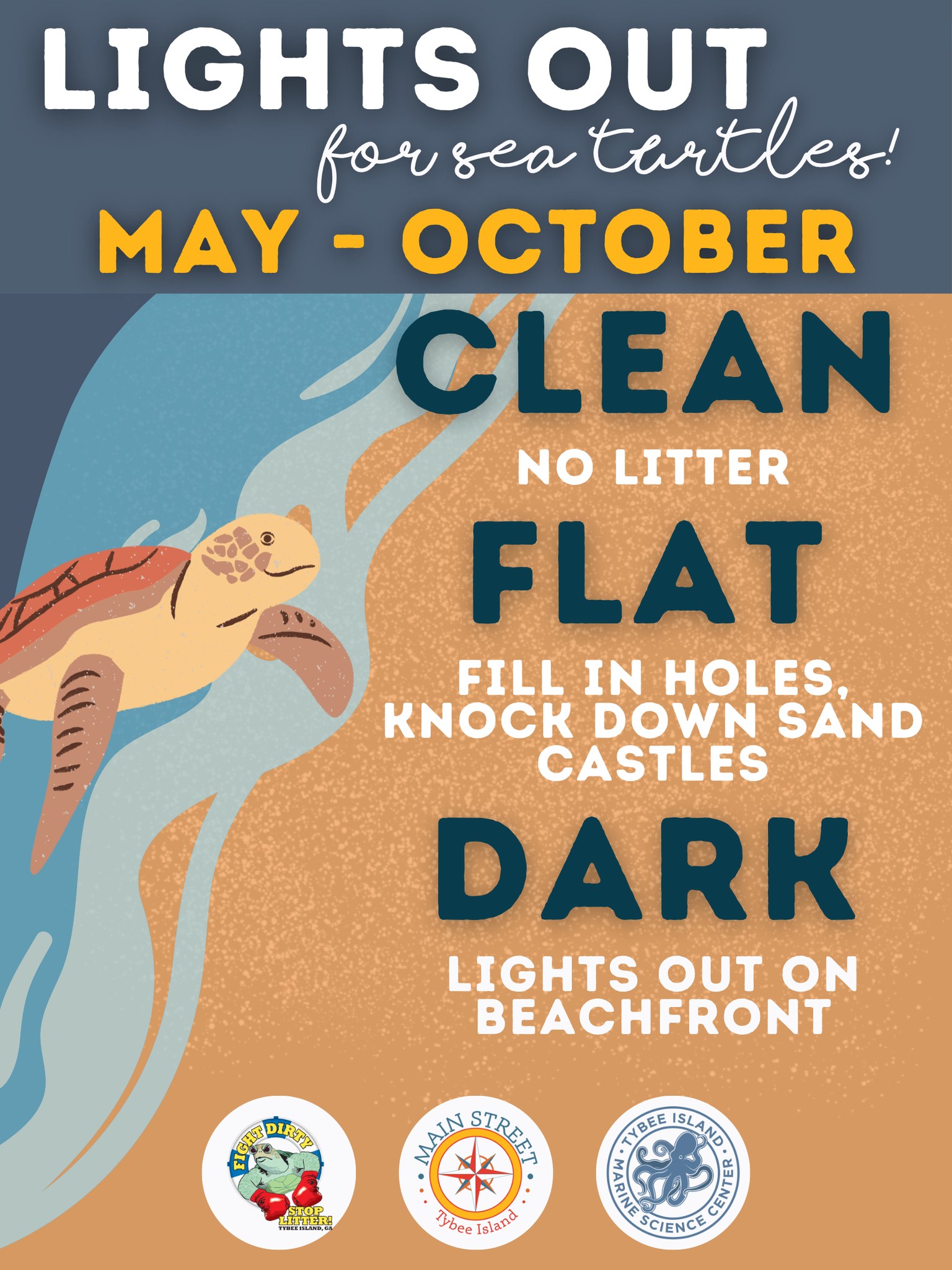 City - Sea Turtle Nesting Season Starts May 1st! 🐢 Get ready, Tybee ...