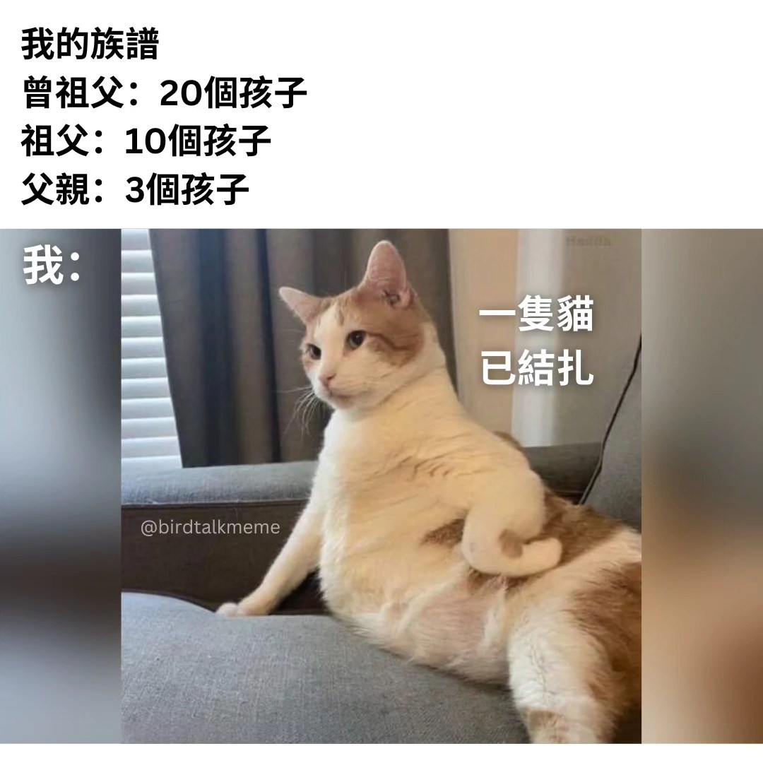 讲鸟话迷迷 - 曾祖父：bro . IG: birdtalkmeme . . #梗 #梗圖 #梗图 #梗圖系列 #梗图系列 #梗圖大全 #梗圖 ...