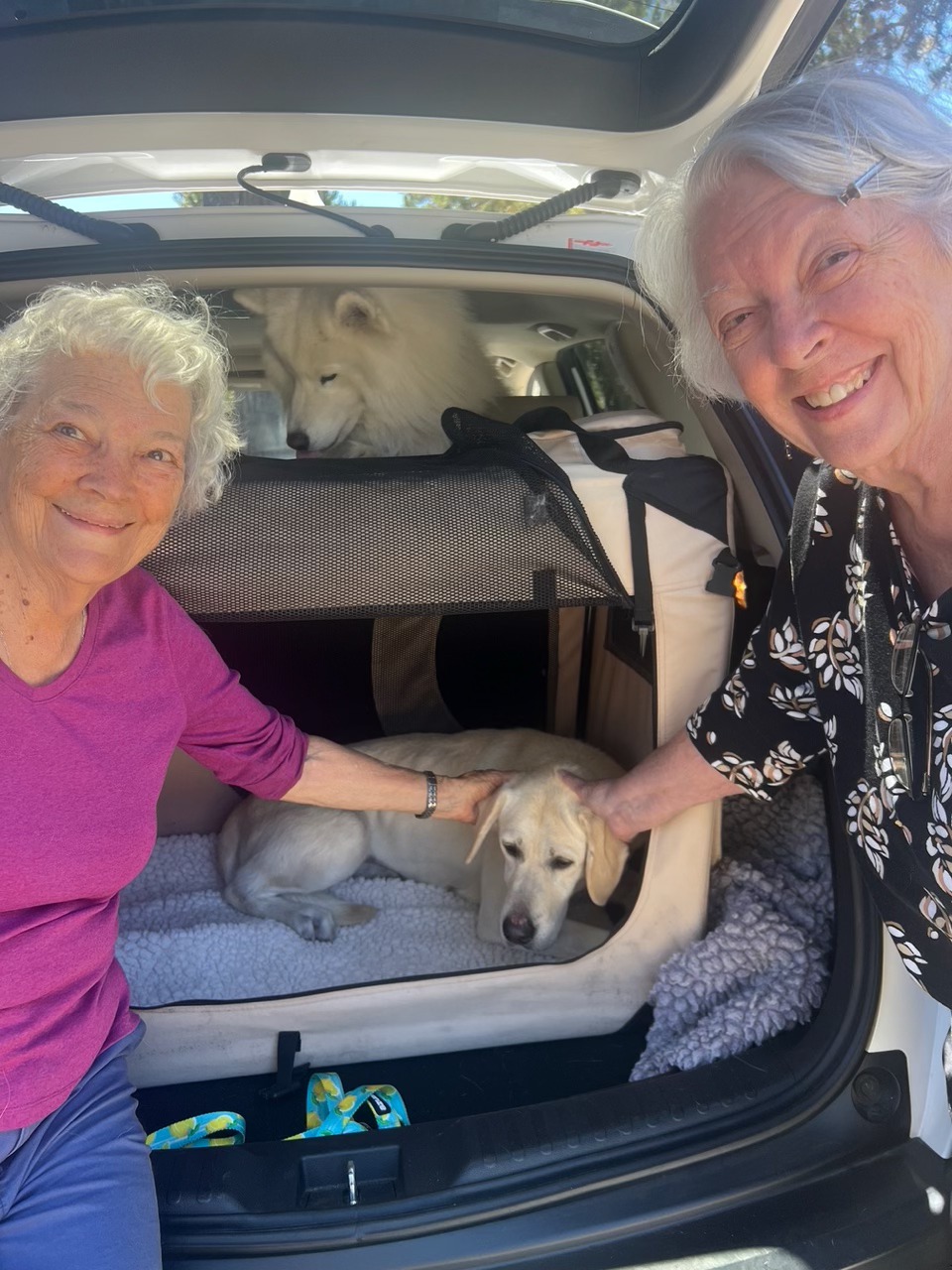 Monterey Bay Lab Rescue