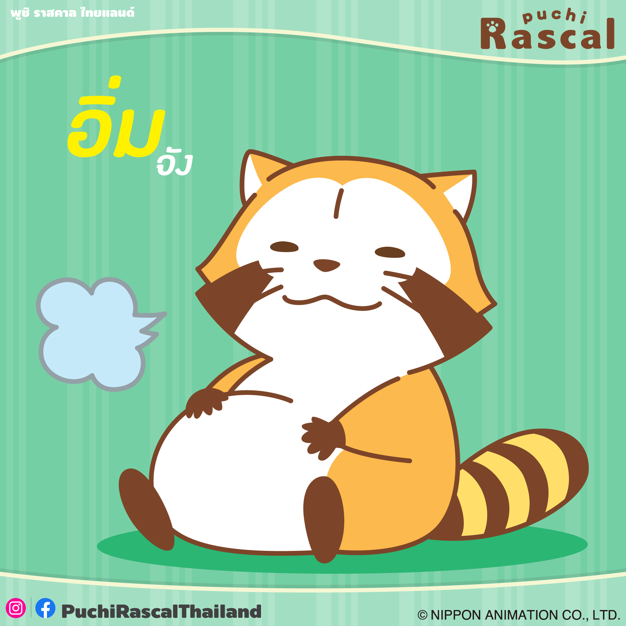 พรุ่งนี้จะลดน้ำหนักละ!! .... - Puchi Rascal Thailand | Facebook
