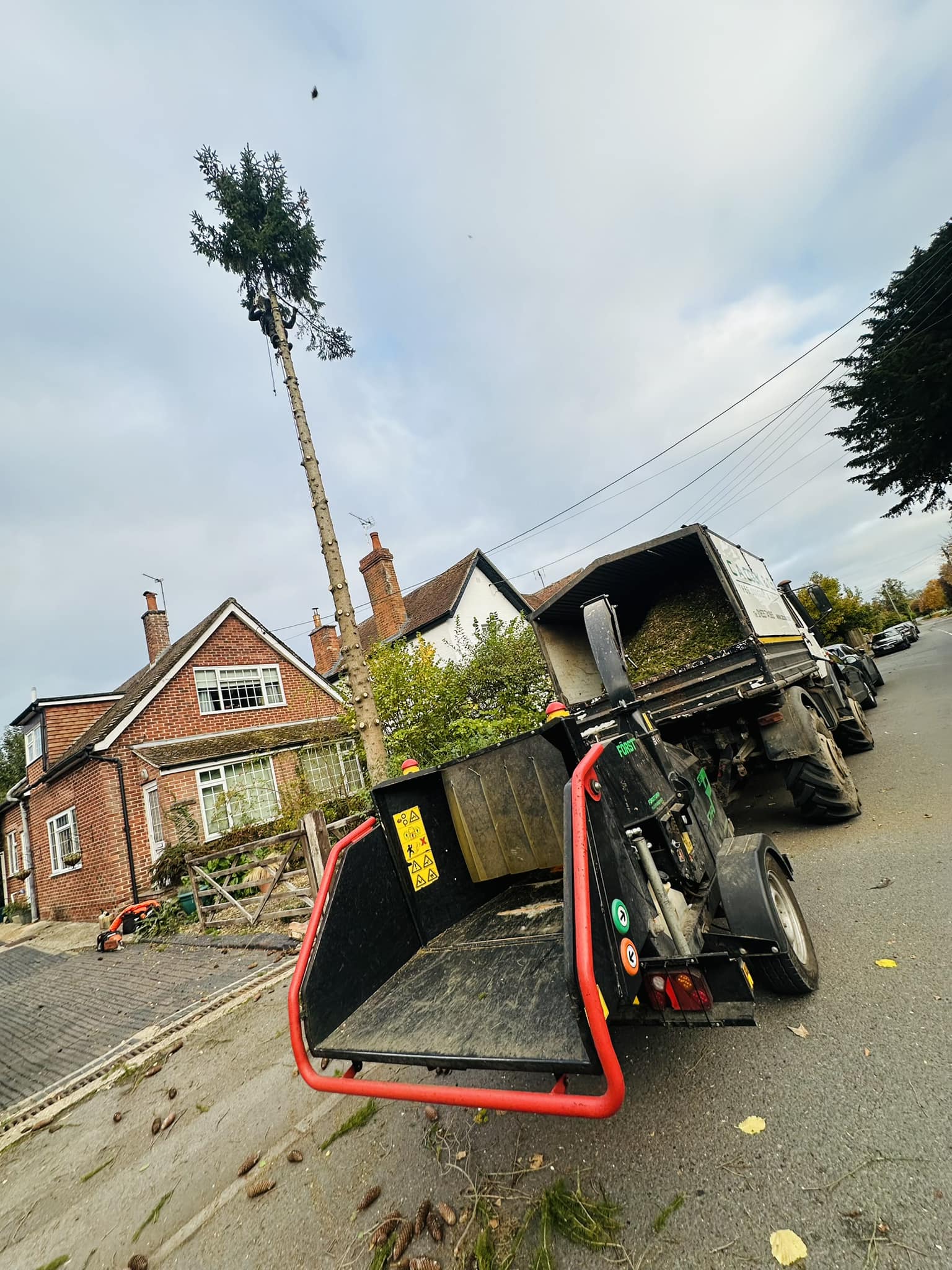 C A Cook & Co Tree services | Thatcham