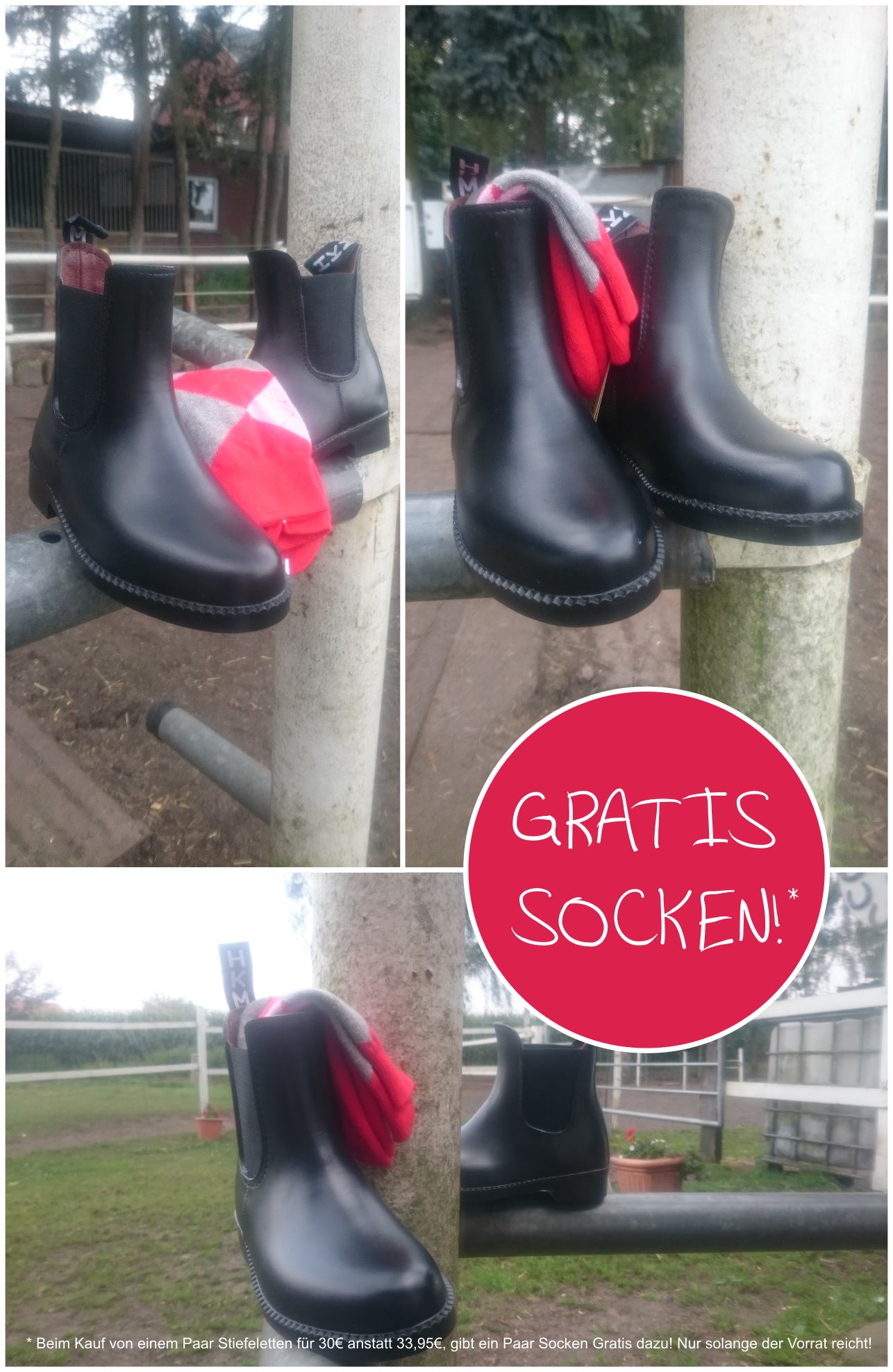 Reitsport Runge - Home