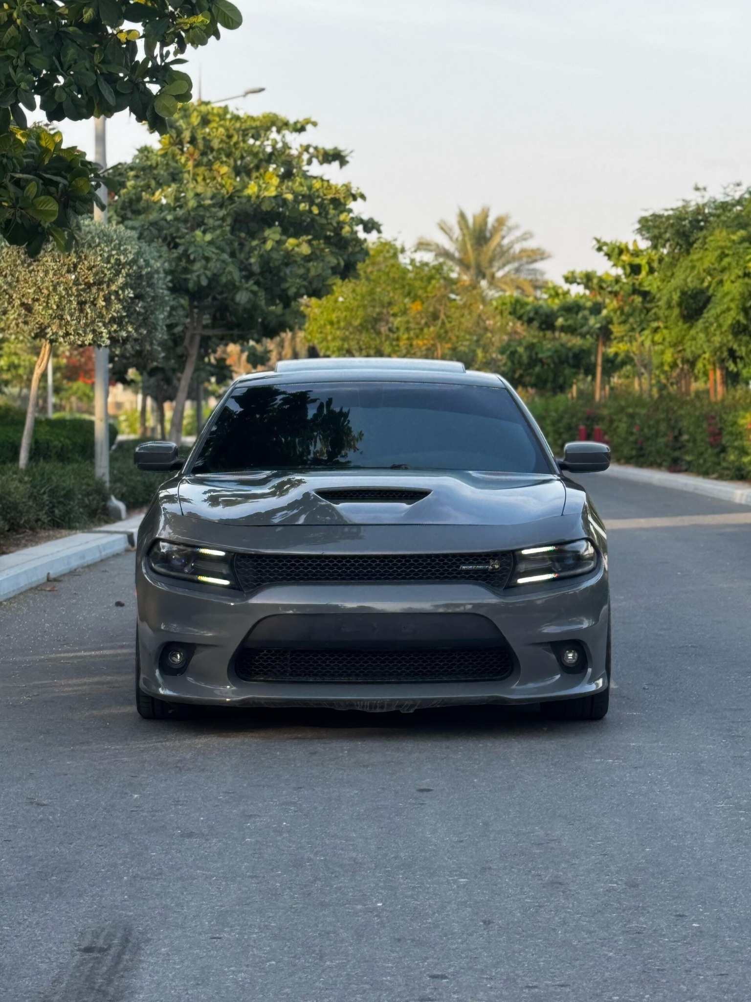 ِAbu Rashid Cars | Al Ajman