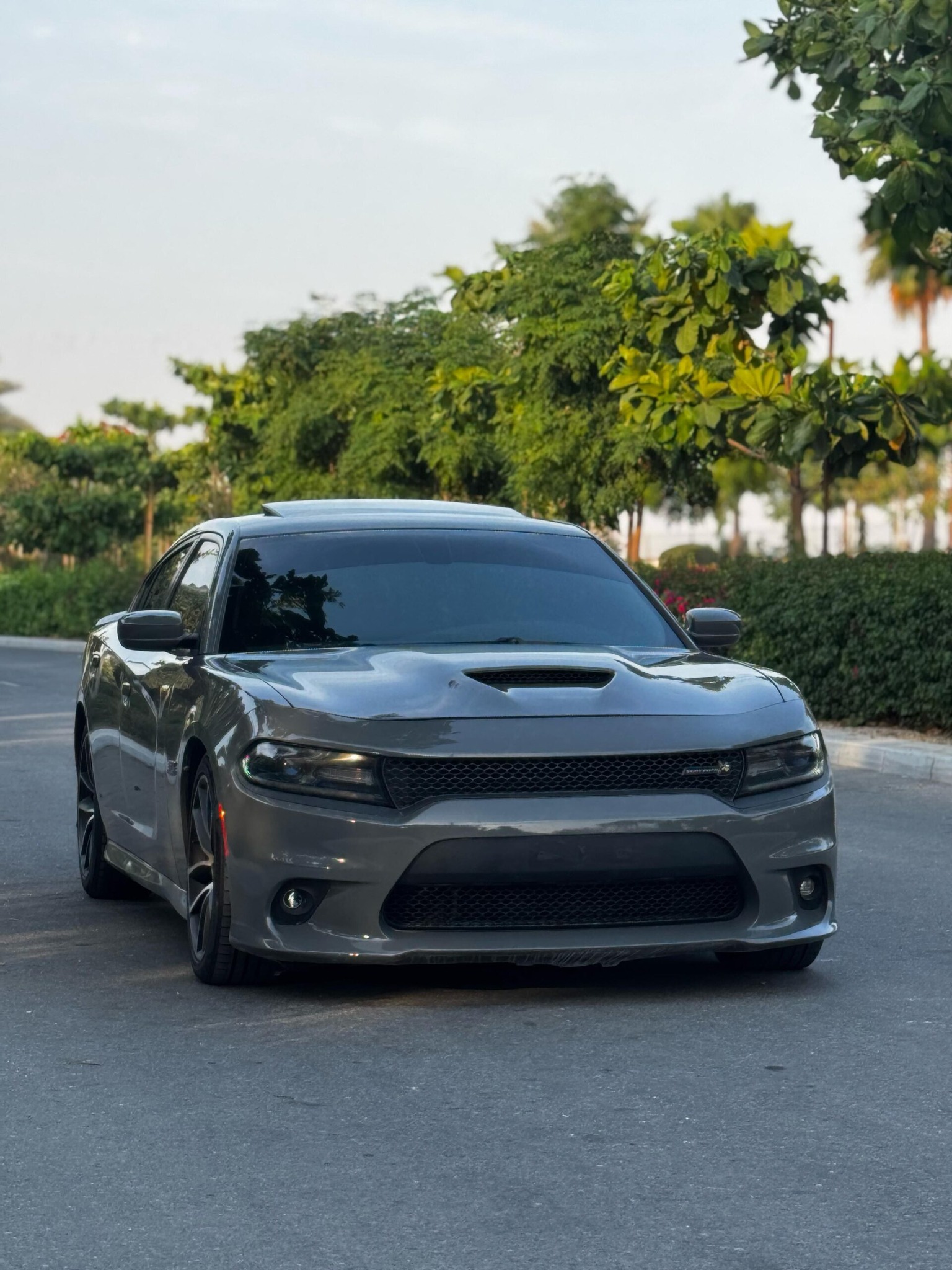 ِAbu Rashid Cars | Al Ajman